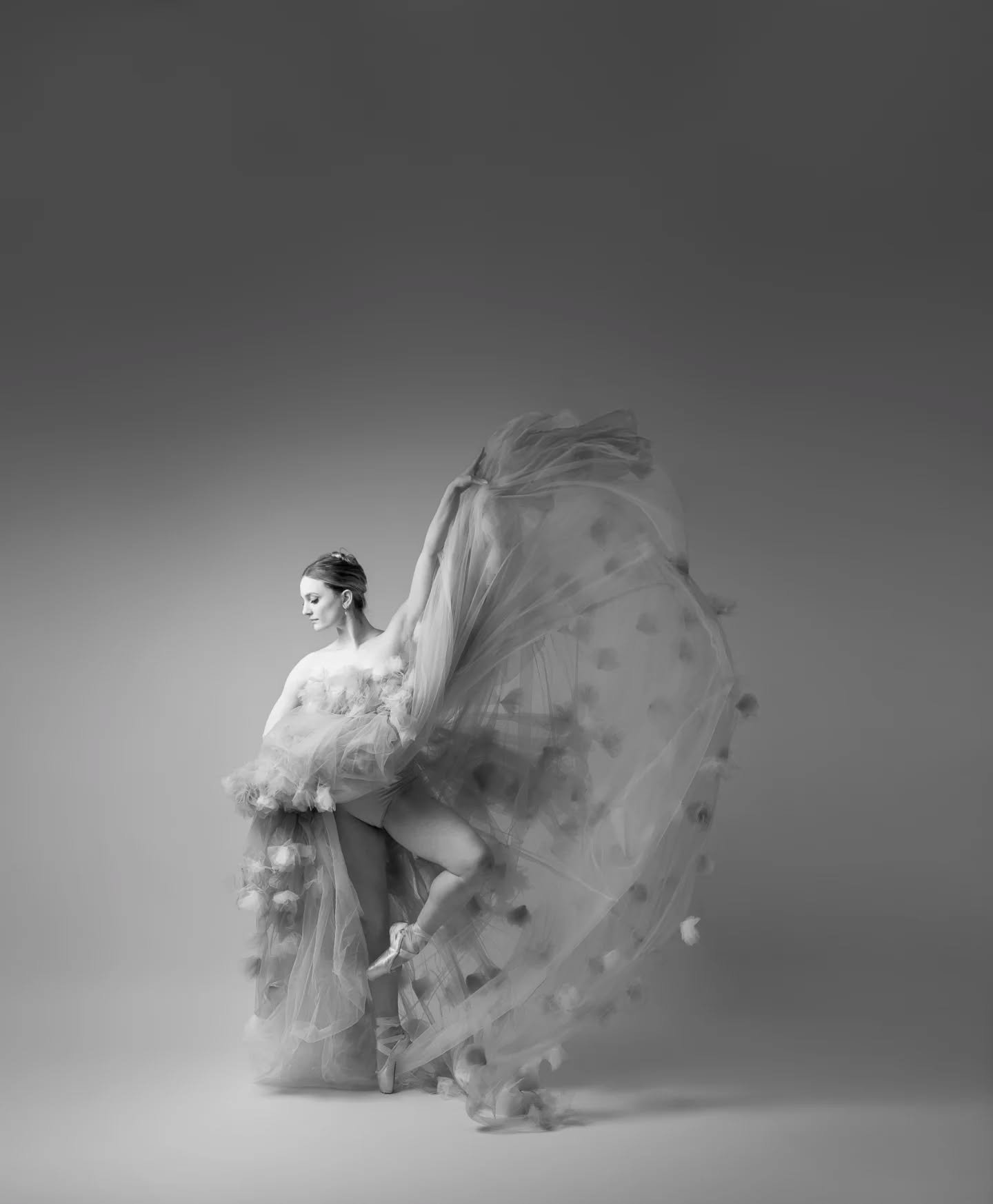 I think the black and white ones are my favorite 😍
Just light, texture and movement. 

📷@crazycatladyphotography.ccl