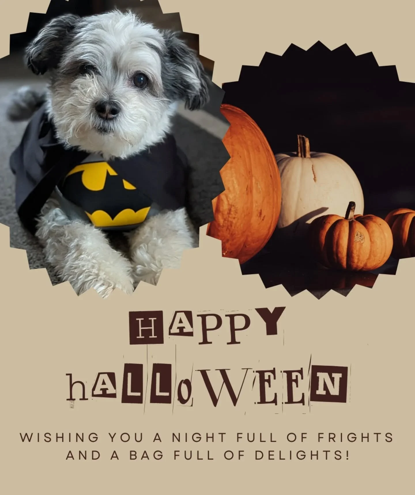 Happy Halloween from True Edits! 👻🎃