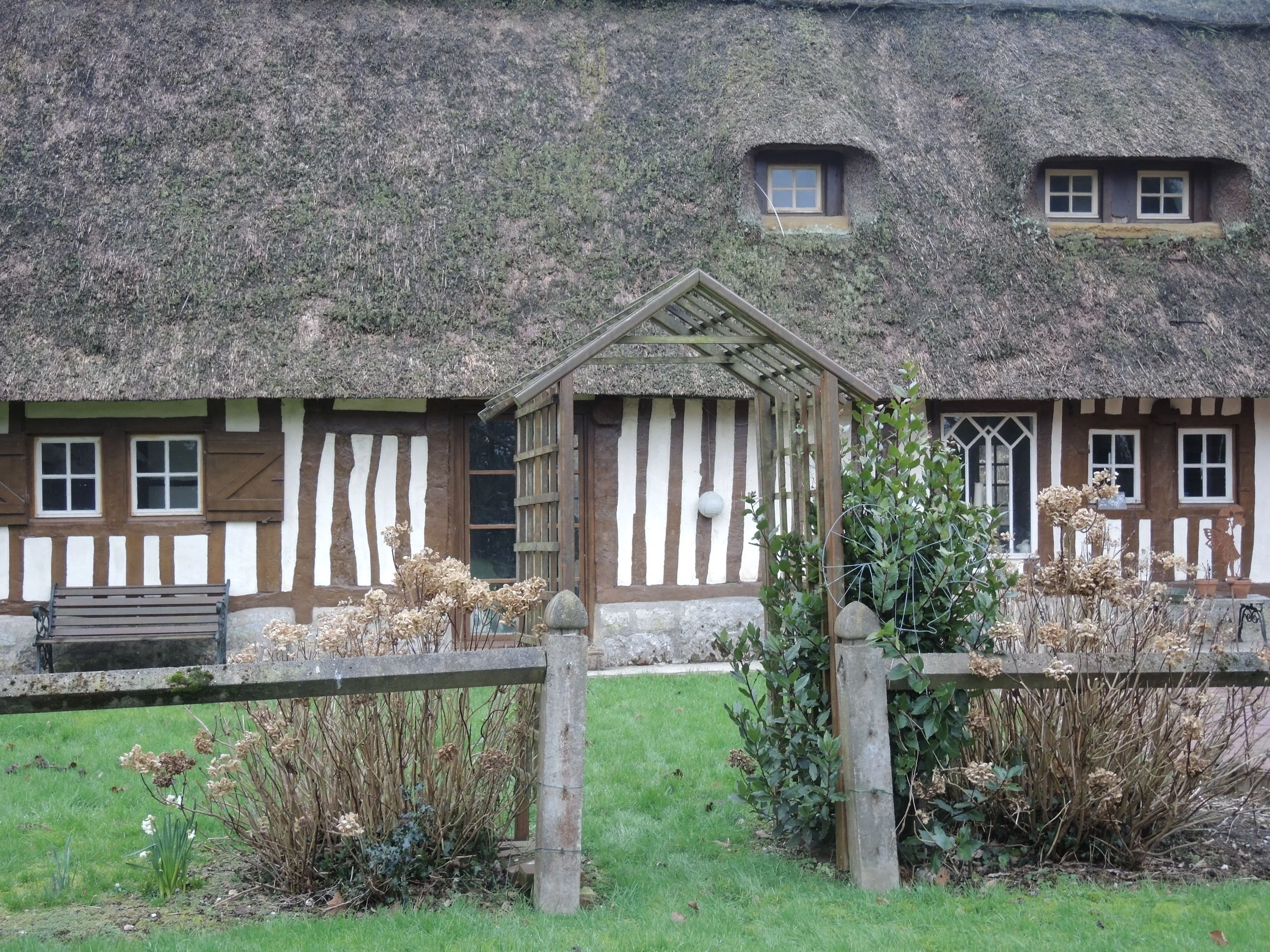DSCN1146.jpg