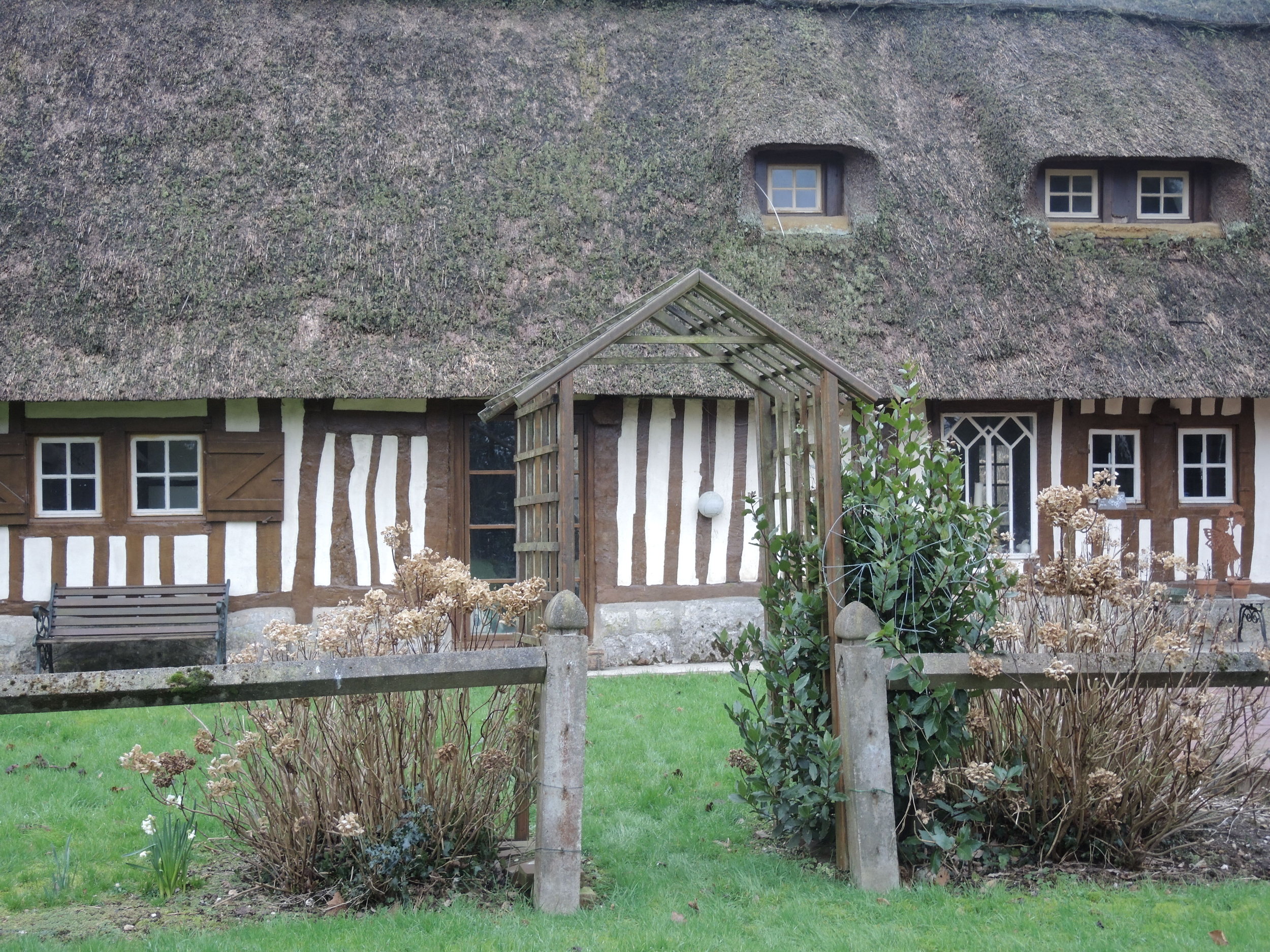 DSCN1146.jpg