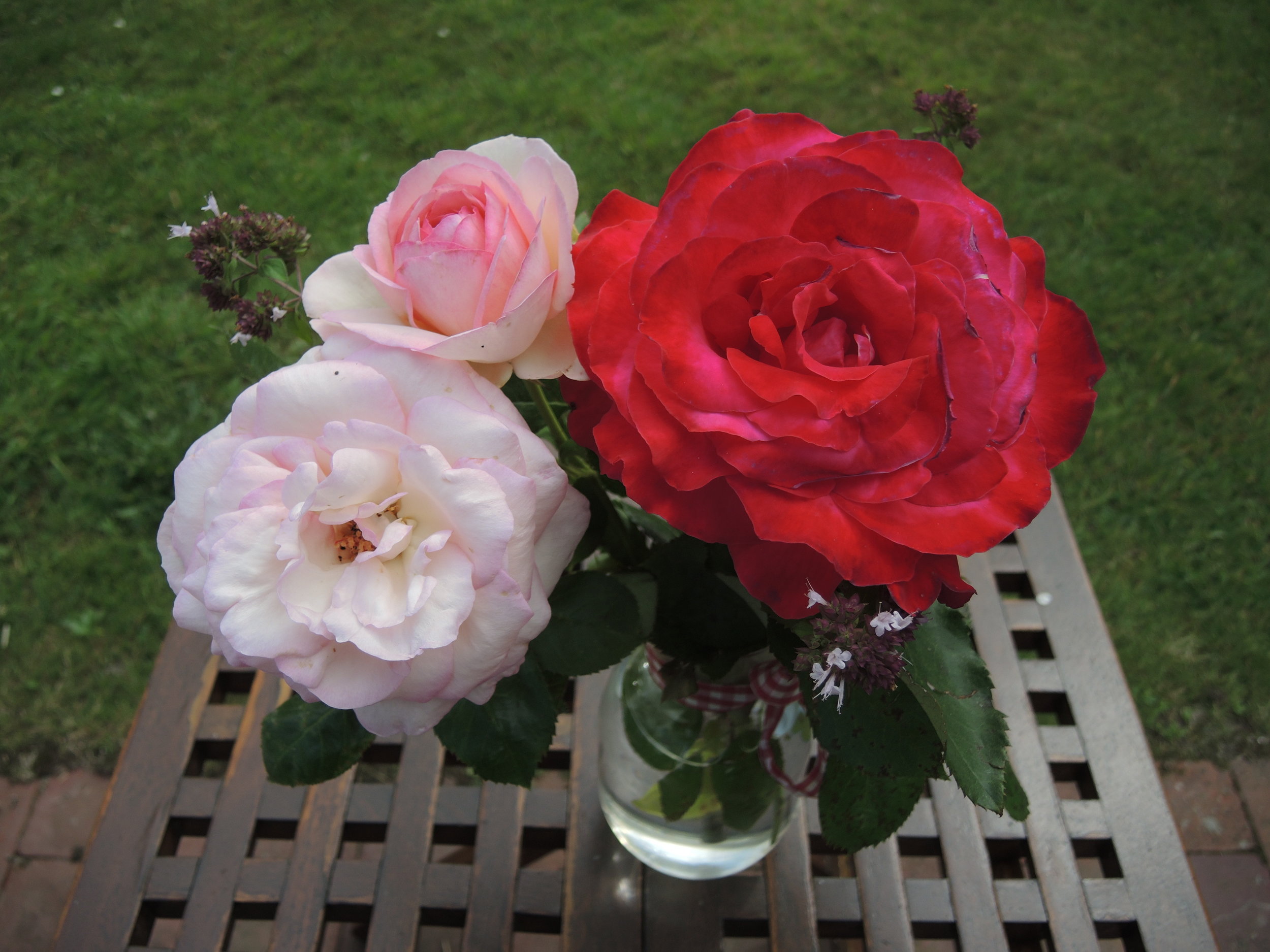 DSCN0922.jpg