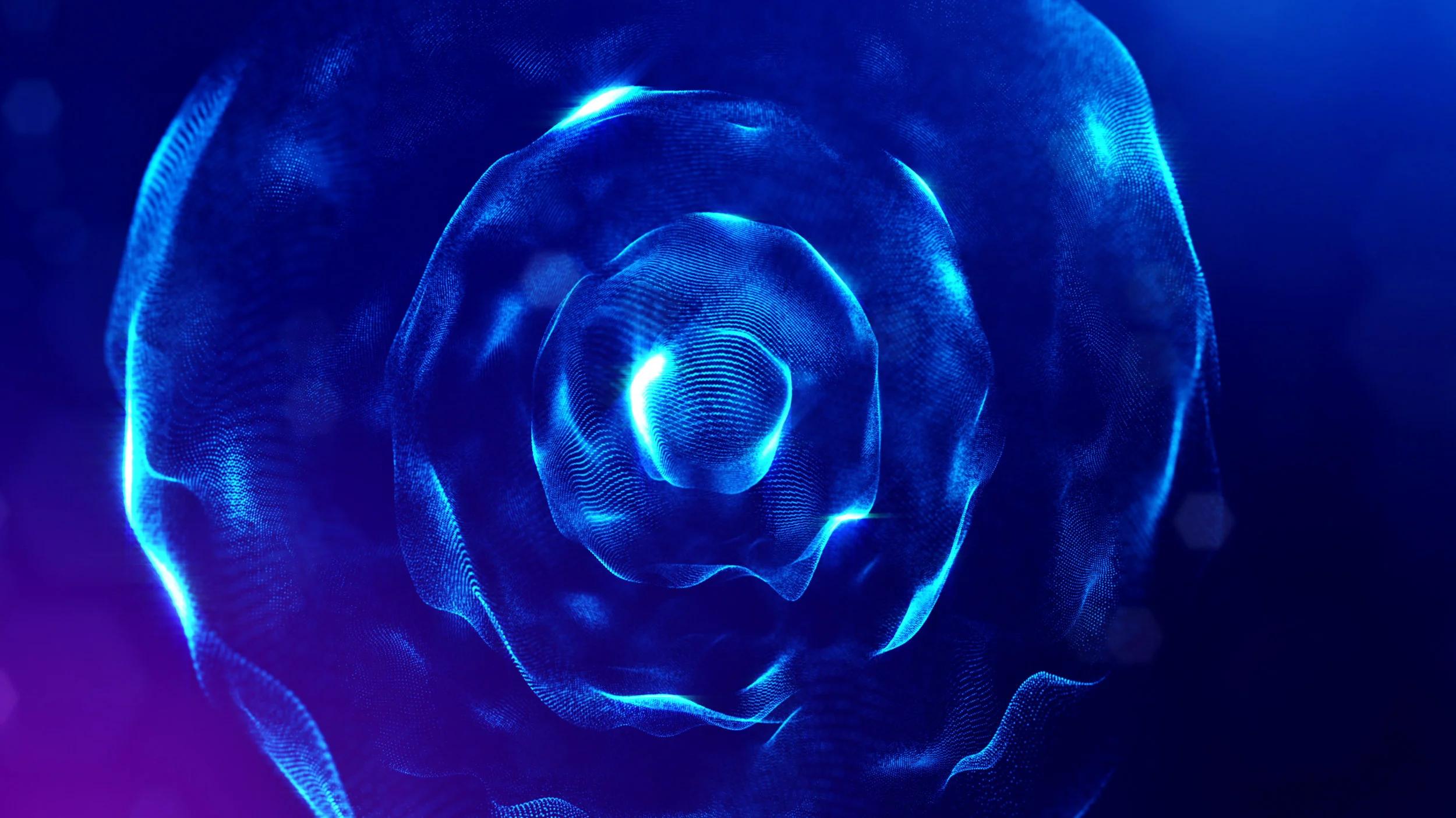 AdobeStock_200573336.jpeg