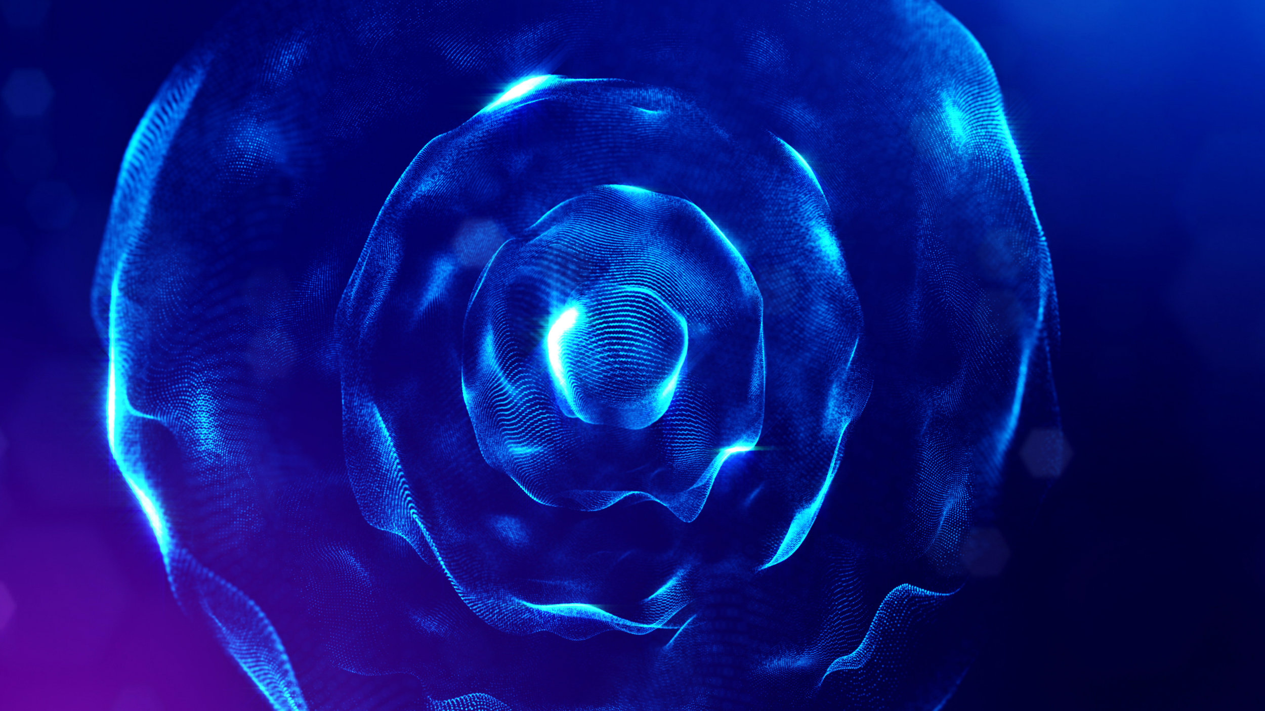 AdobeStock_200573336.jpeg