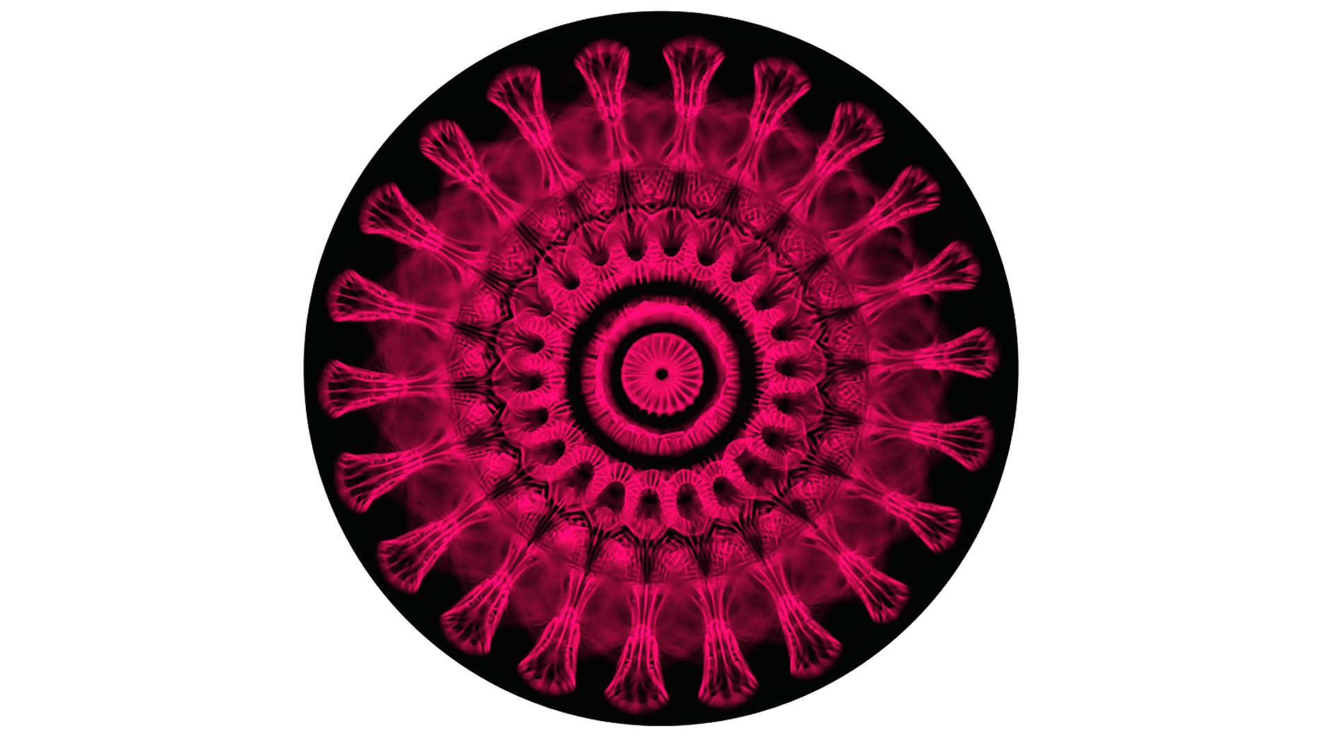 metaconsciousorange.png
