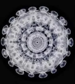 379670556_2744776352340919_7931463545309100481_n.jpg