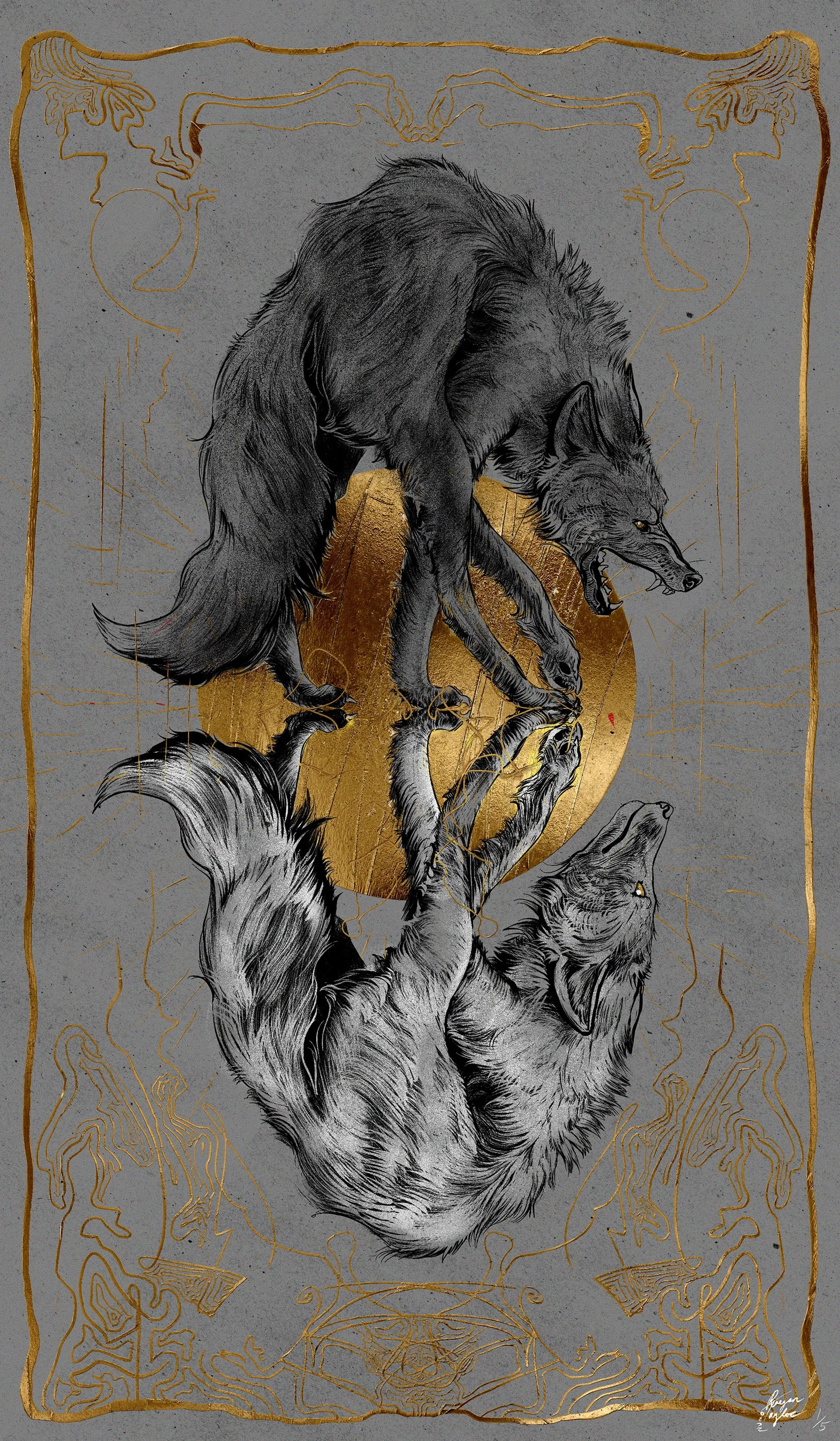 coyote twins 1 of 5.jpg