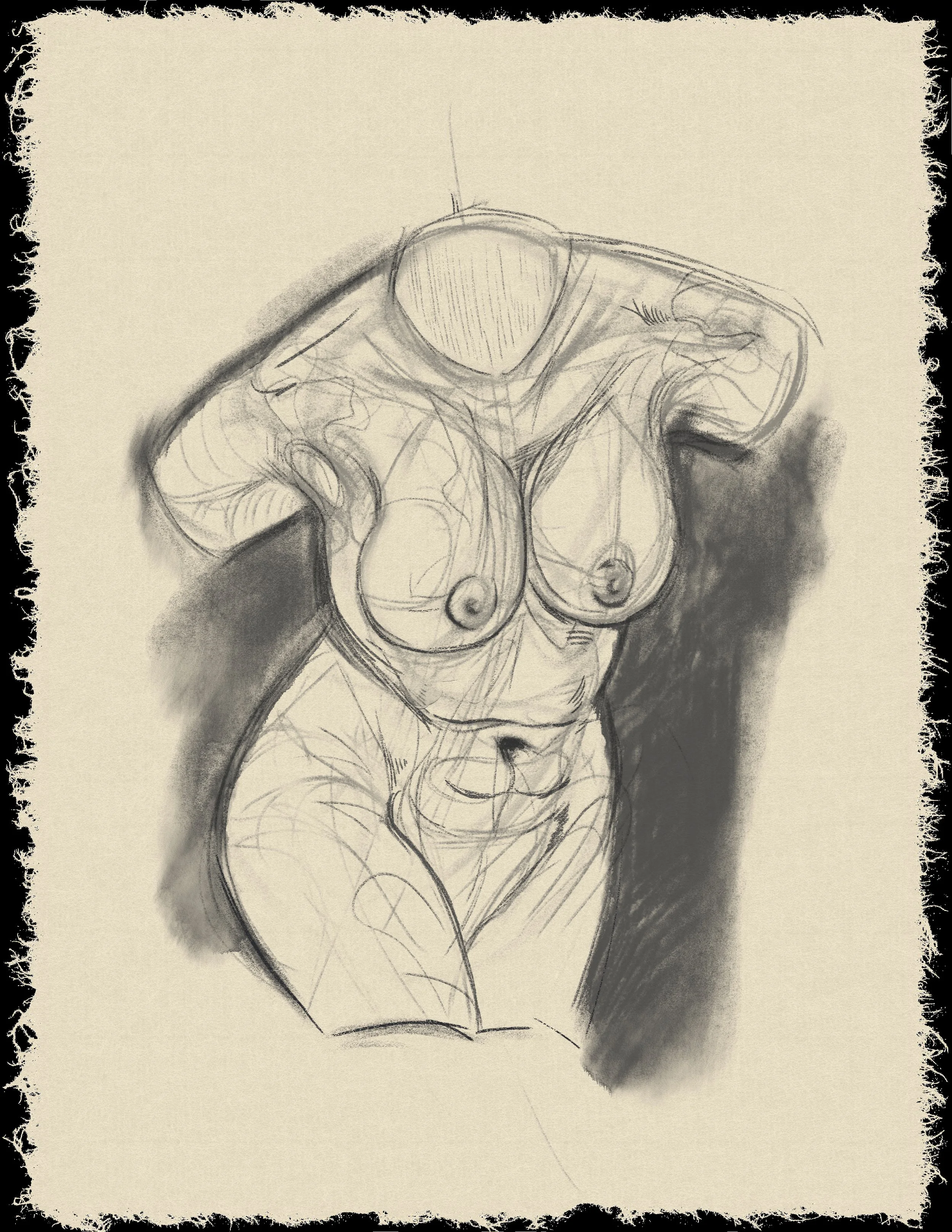 torsohw3.jpg