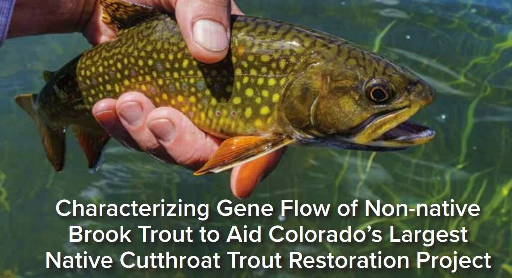 New article on Characterizing Gene Flow of Non-native Brook Trout