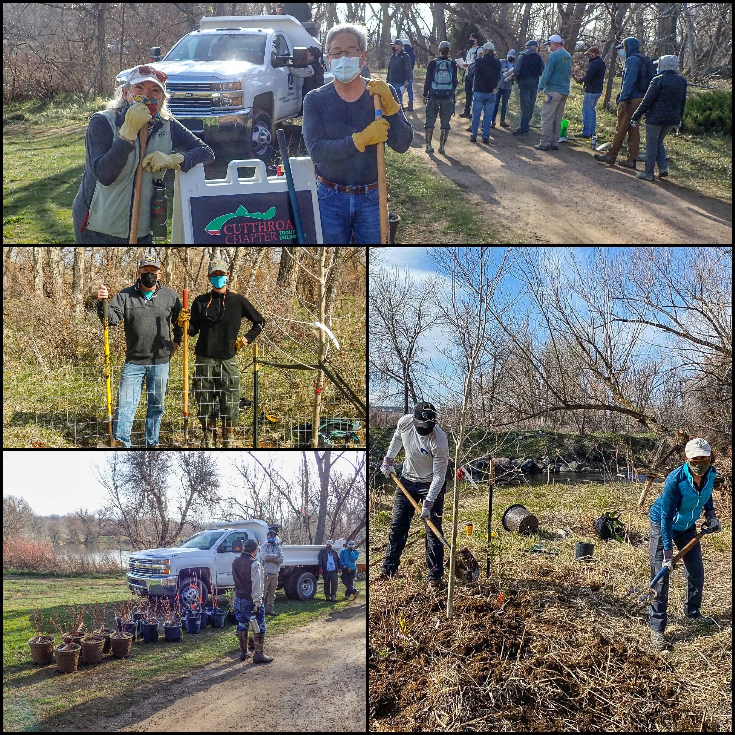 CCTU CONSERVATION PROJECTS ARE BACK! BEAR CREEK EARTH DAY CONSERVATION PROJECT WRAP-UP
