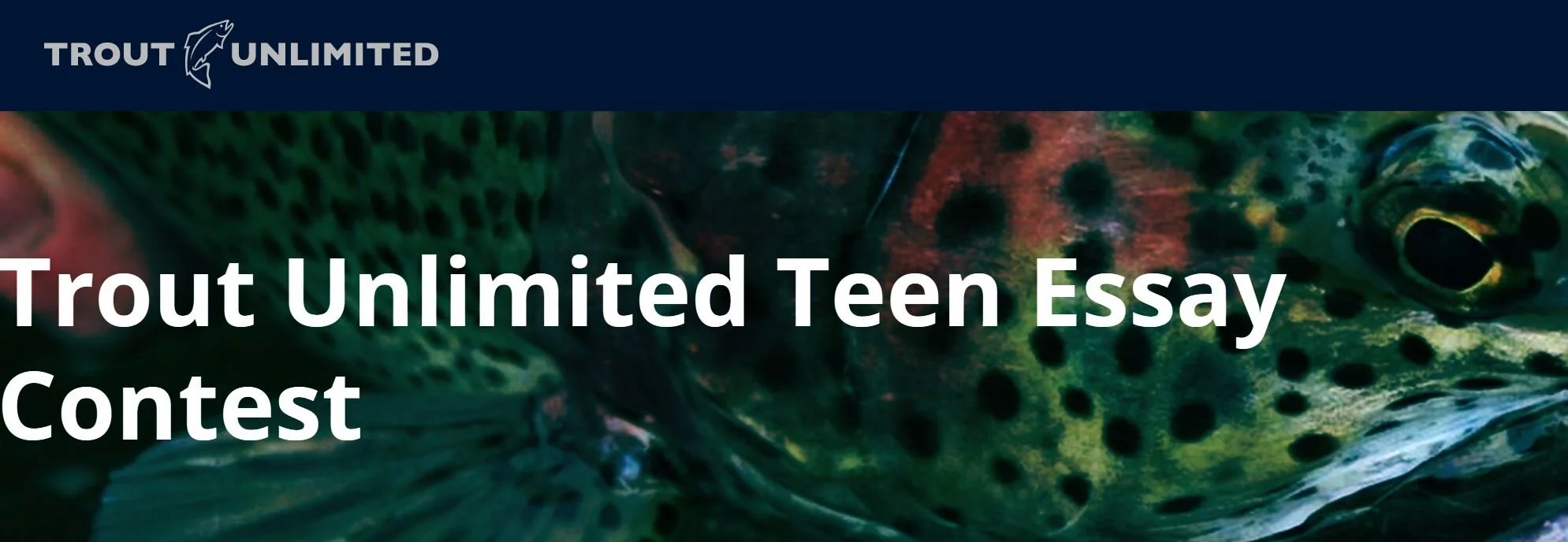 TU Teen Essay Contest