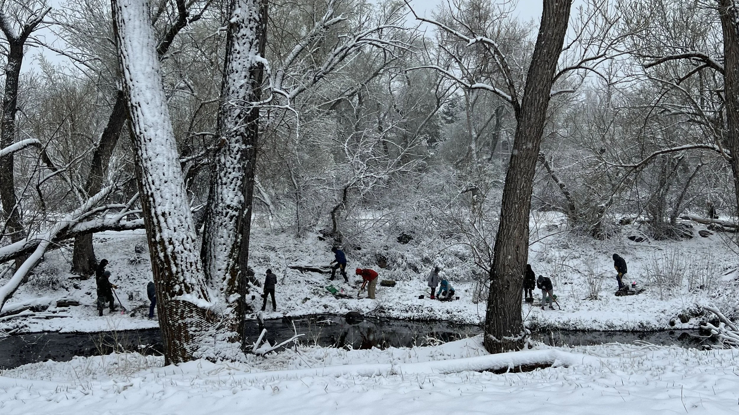 Bear Creek Park on Earth Day 2023
