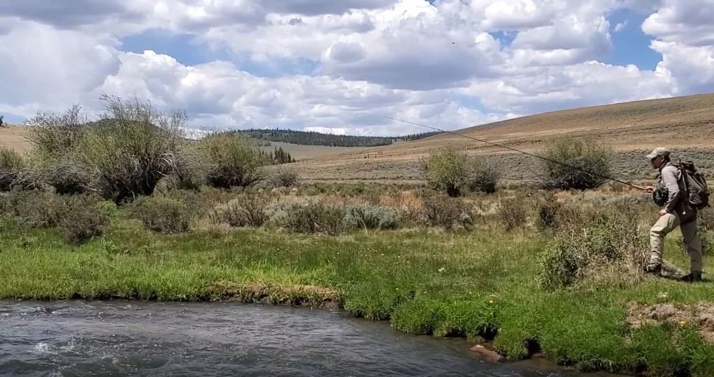 Come Fish With Us - Moving Waters Weekday Trip to Arkansas Tailwater