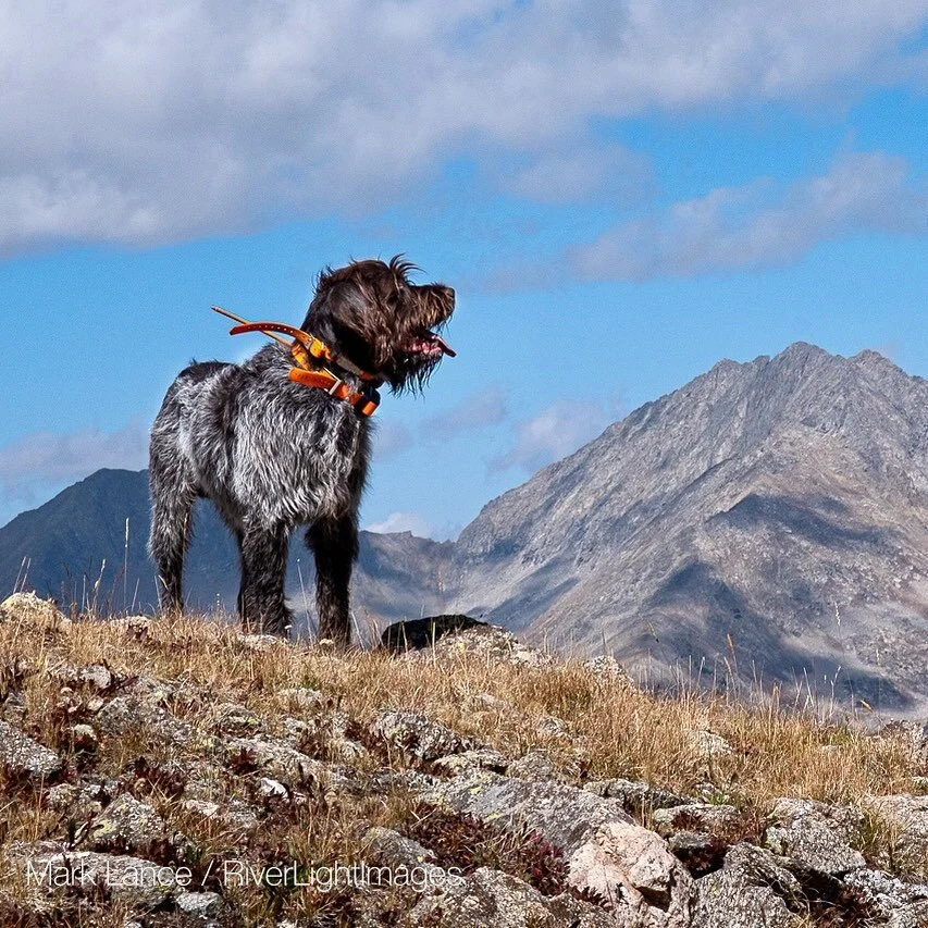 1st Annual Mark Lance Memorial Shoot