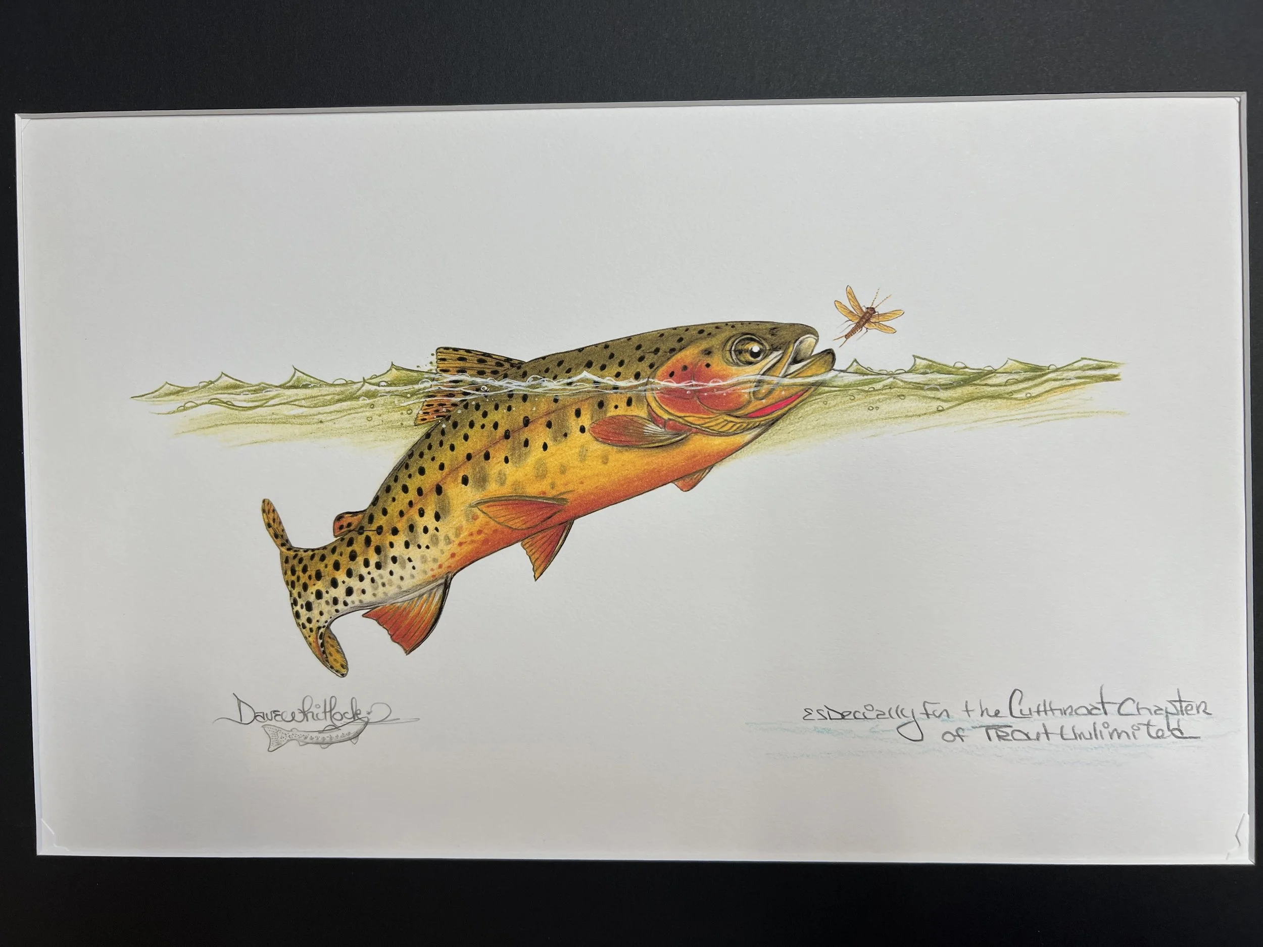 #010 • SIGNED DAVE WHITLOCK PRINT "Cutthroat and Stone"