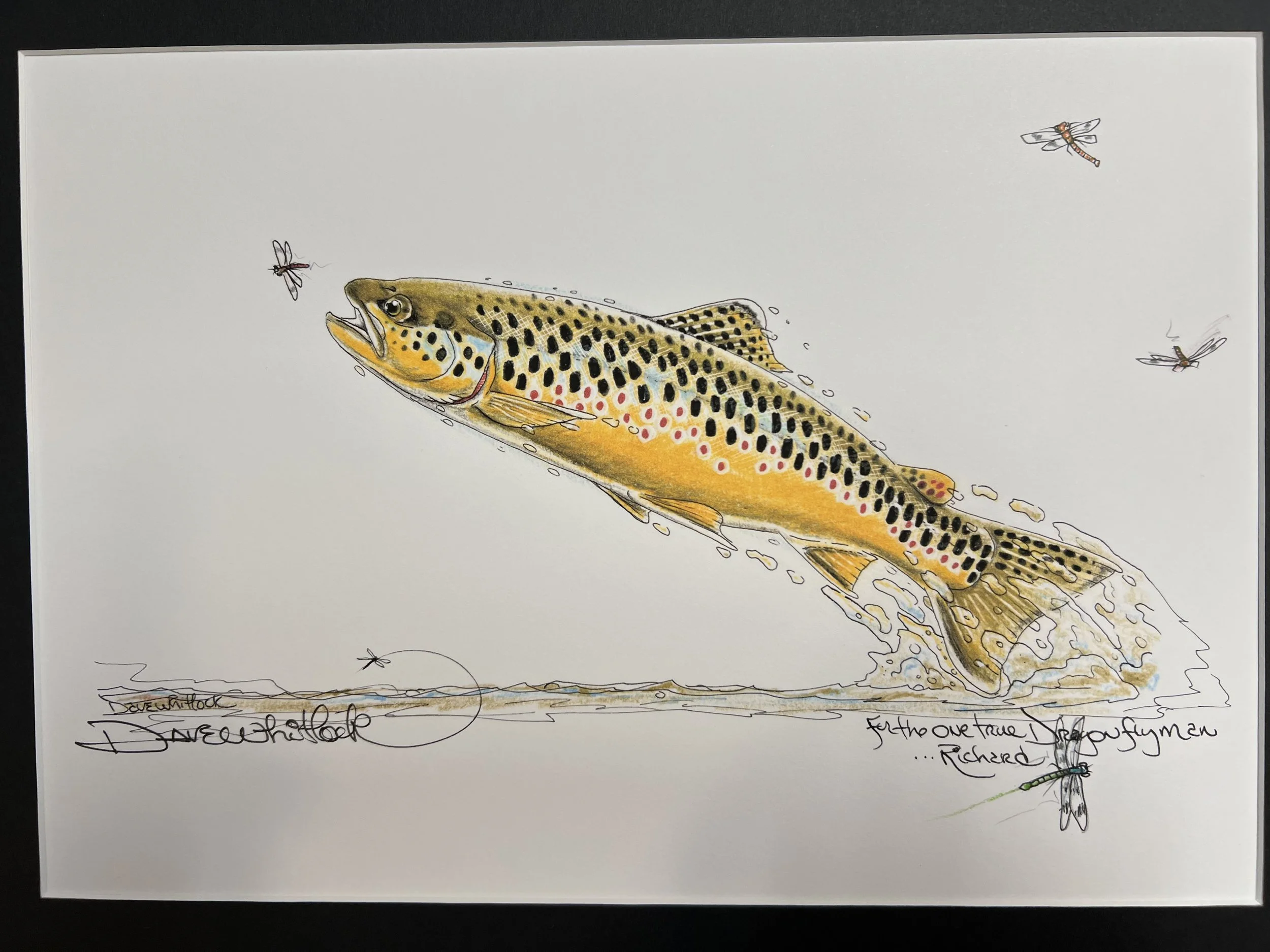 #009 • SIGNED DAVE WHITLOCK PRINT "Dragon Flies and Brown"