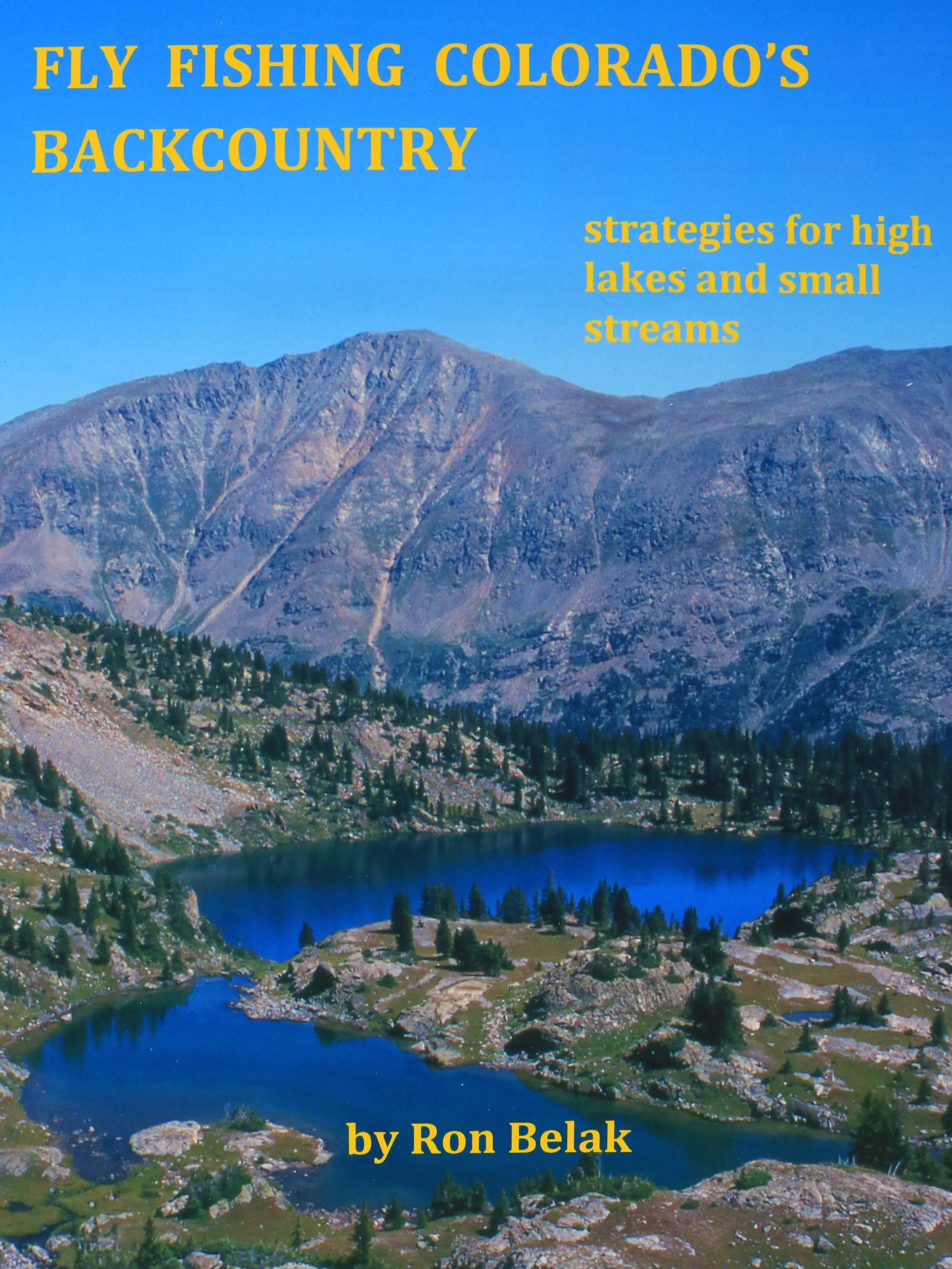 Recap: April Chapter Meeting with Ron Belak