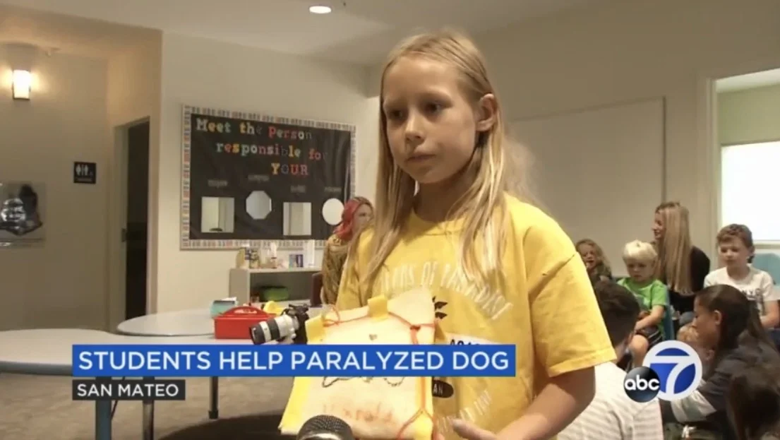 Collaboration with MVHS Captured by ABC 7 News