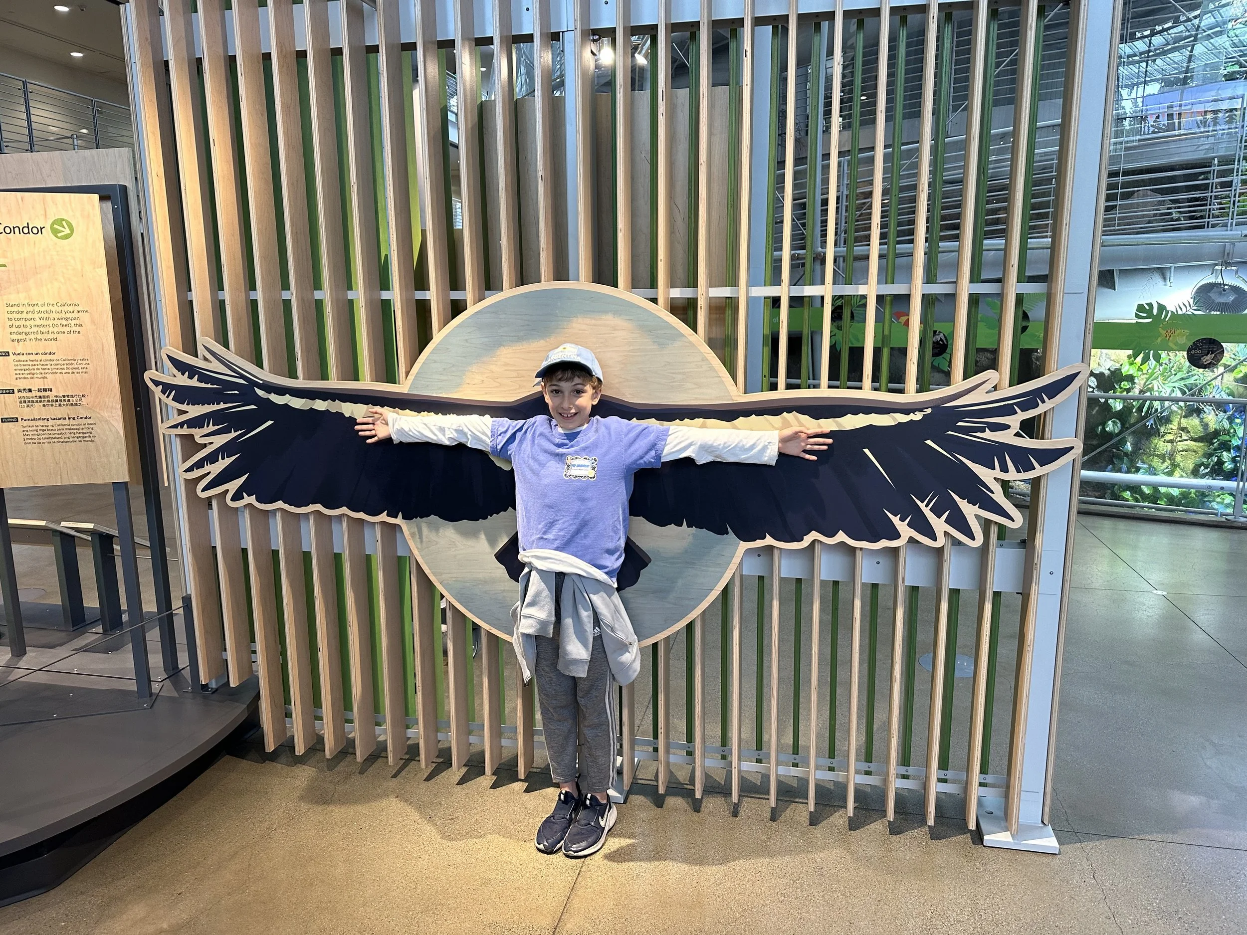 The Transformative Power of Small Schools: Insights from Up Academy