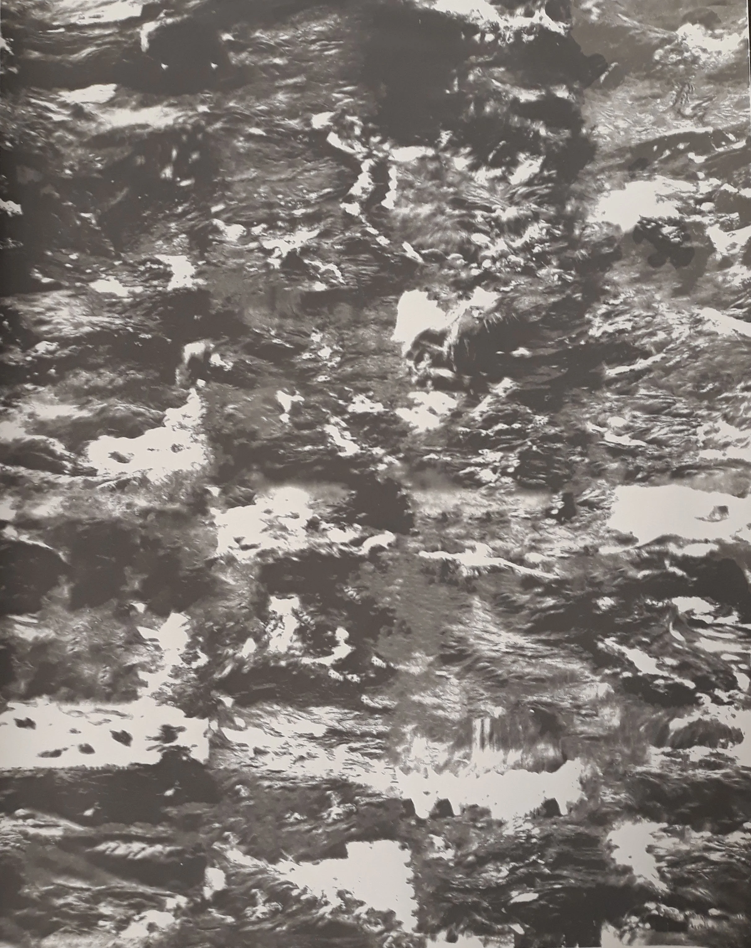 Naughton_Rachel_2019_'Rinse, Repeat vol.1'_Screen Print.jpg