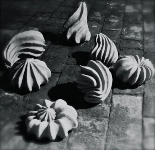 fruits.jpg