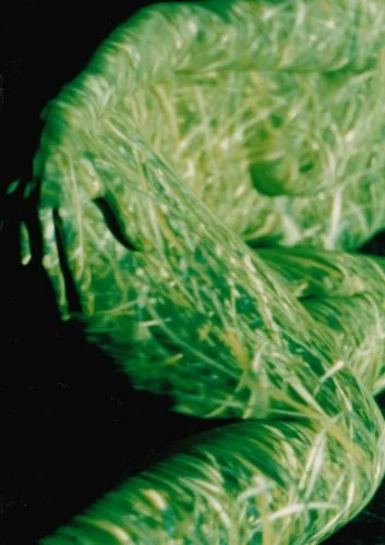 life model grass.jpg