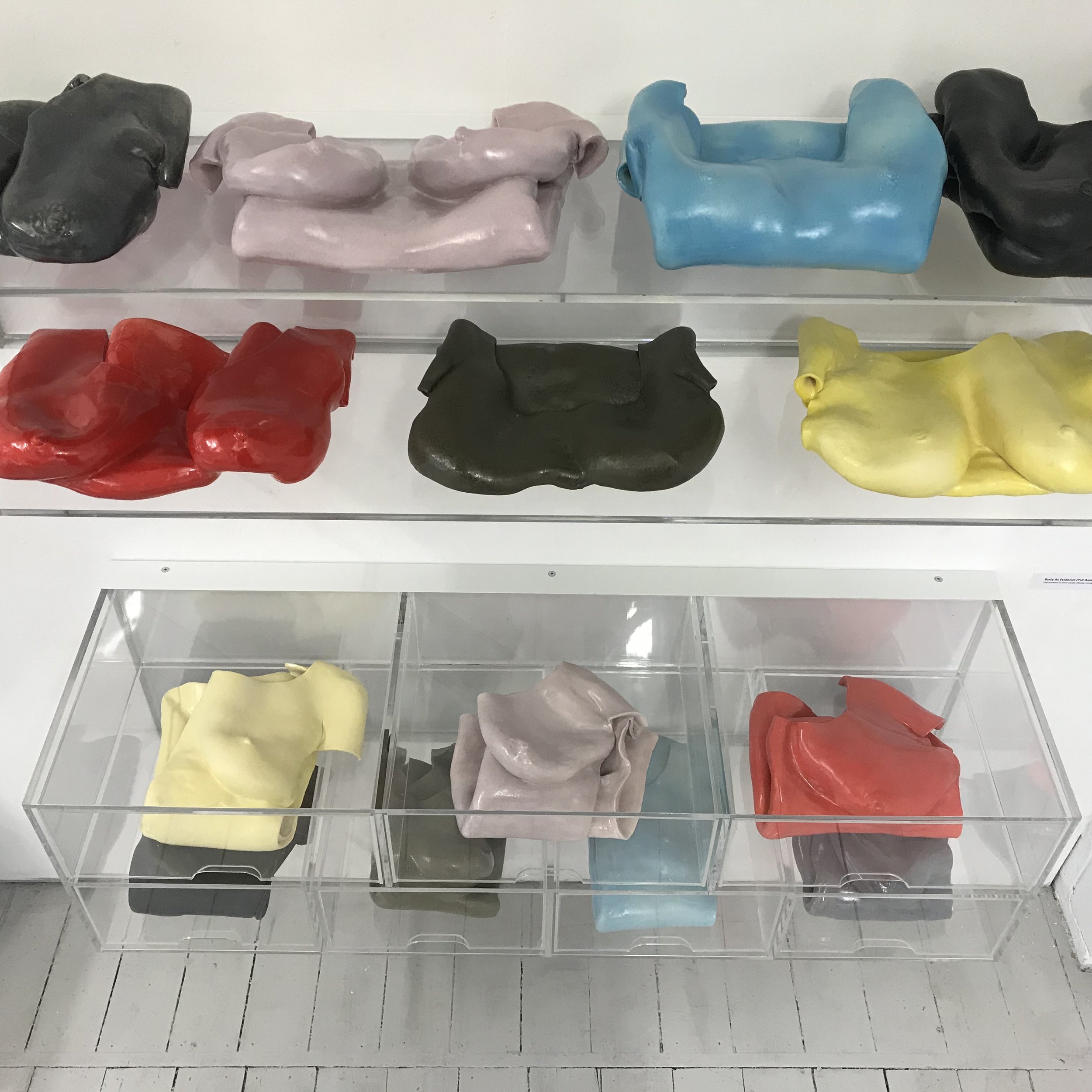 Body As Evidence (Laid Out &amp; Put Away series)