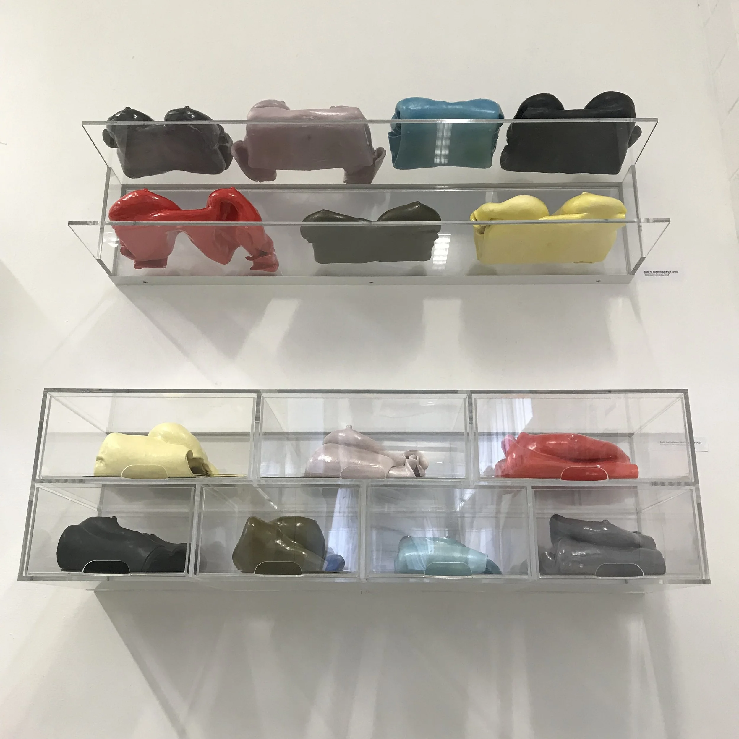 Body As Evidence (Laid Out &amp; Put Away series)