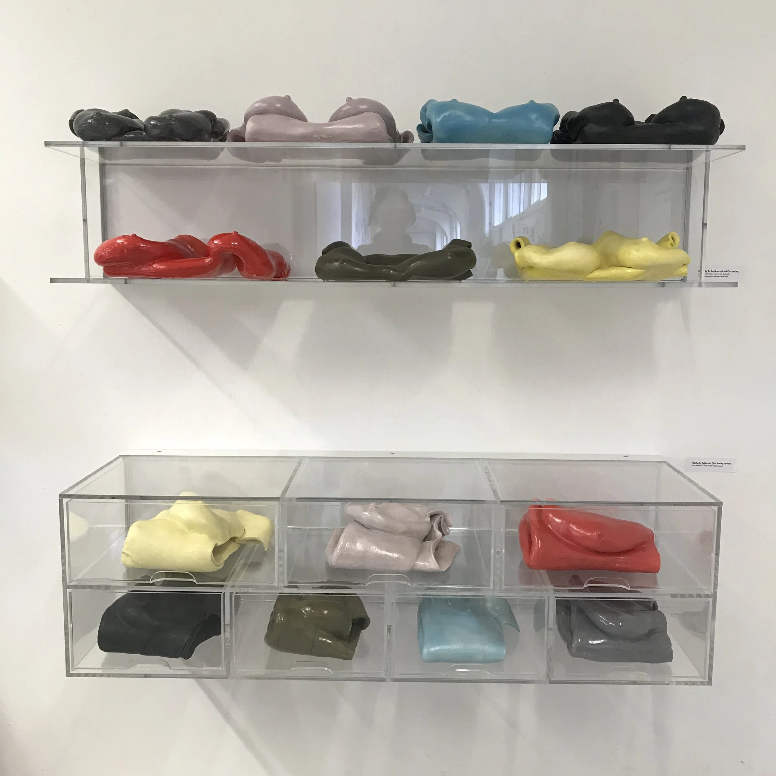 Body As Evidence (Laid Out &amp; Put Away series)