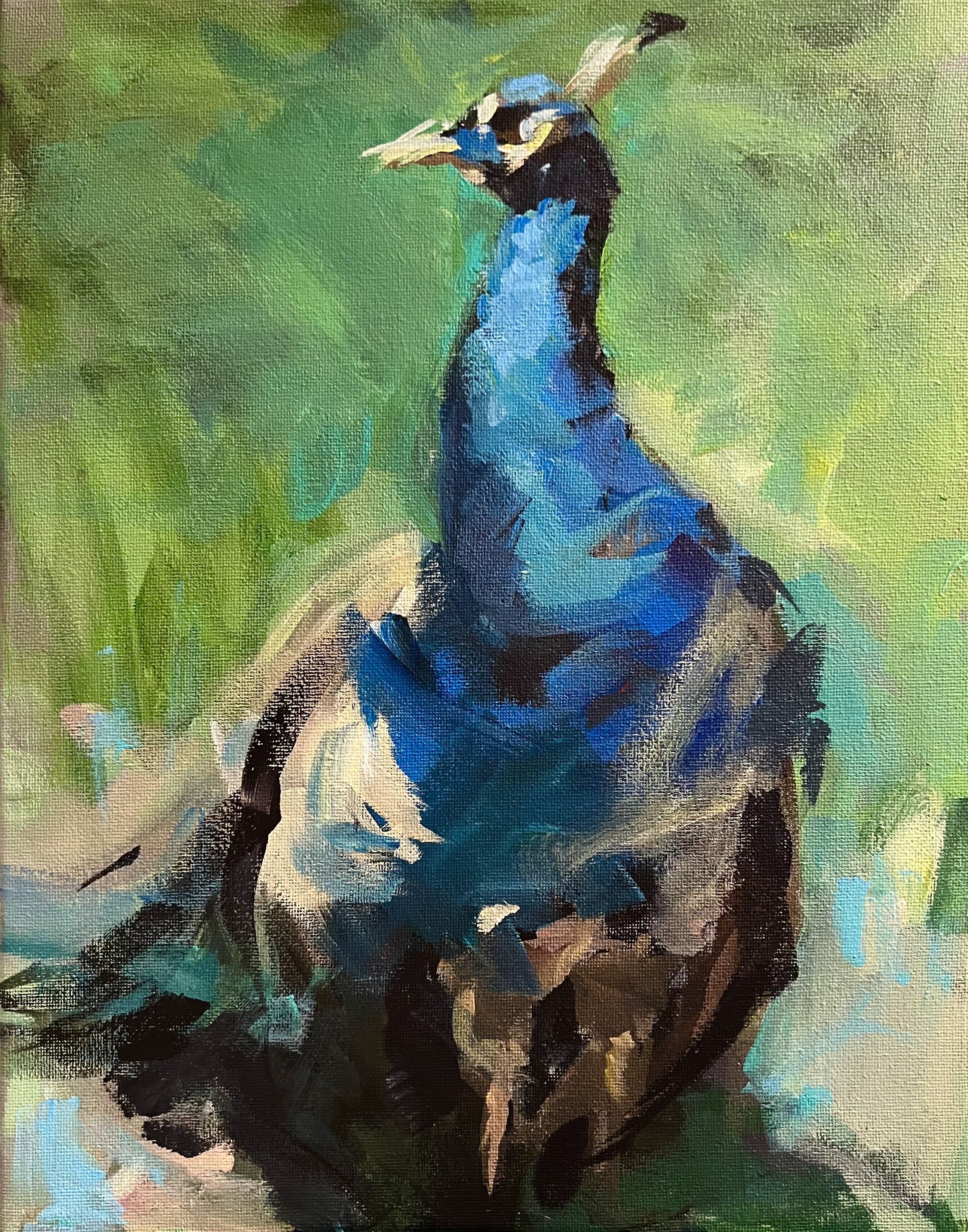 peacock.jpeg