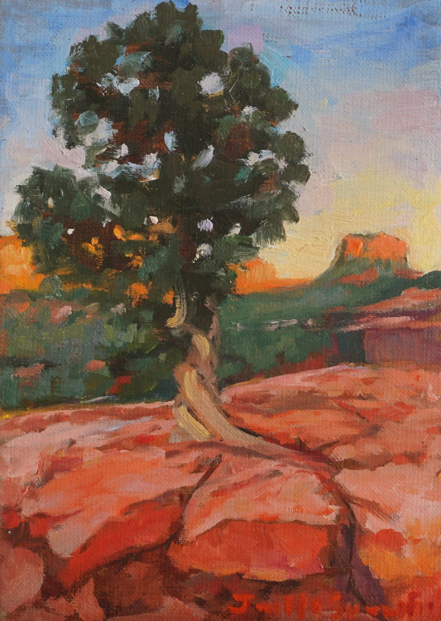 Sedona Tree