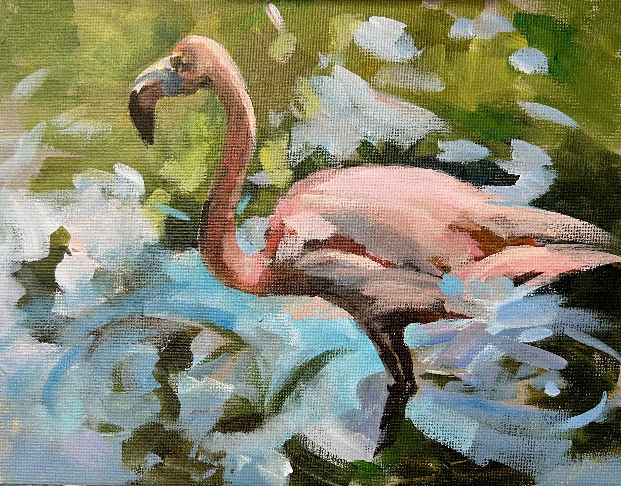 flamingo.jpeg