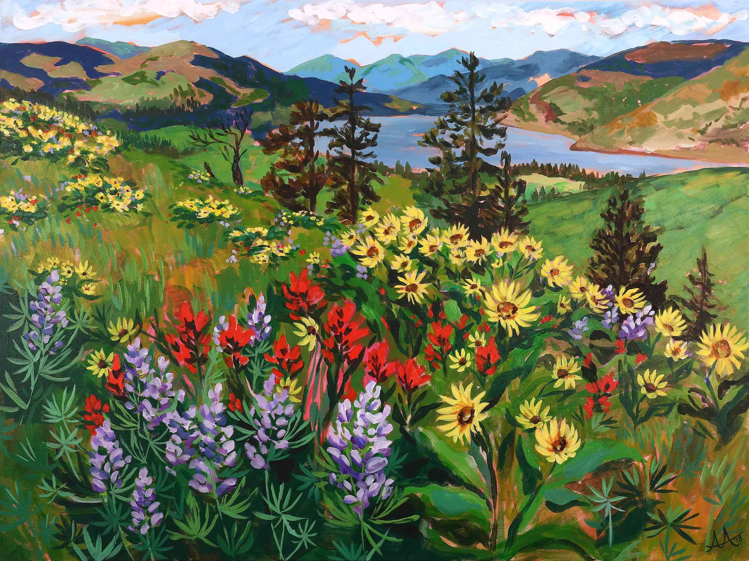 Mosier Wildflowers