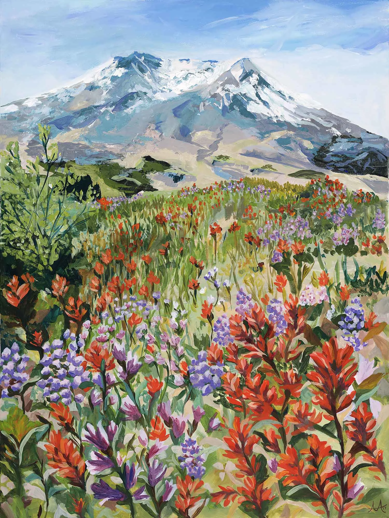 Mount Saint Helens Wildflowers