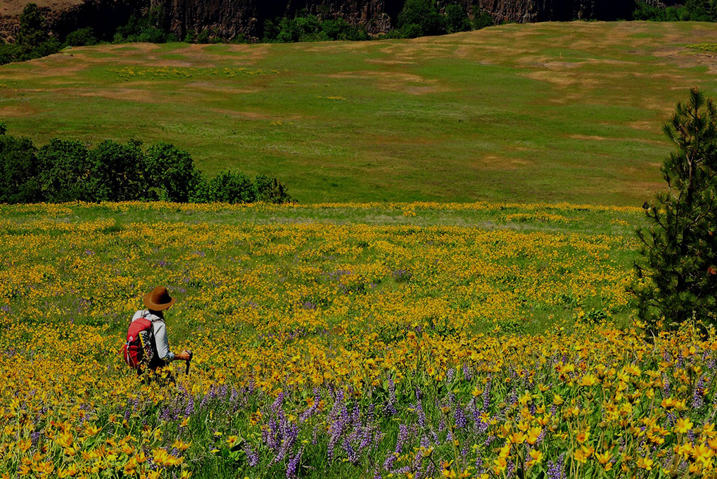 anisa-hiking-flowers-oregon-tom-mccall.jpg