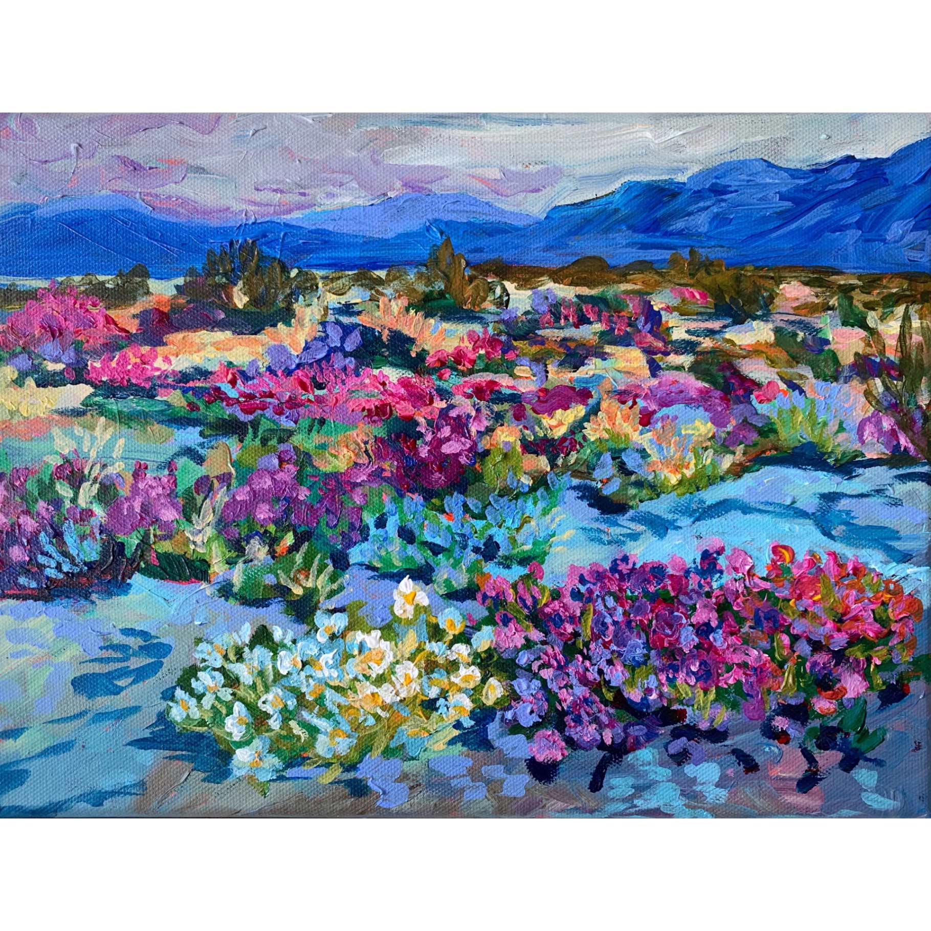 desert_twilight_square_full_web.jpg