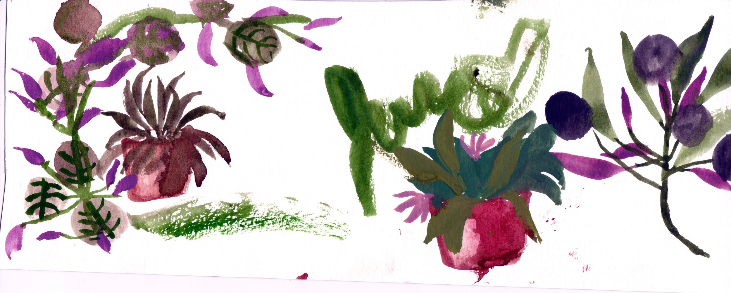 Watercolour plant doodles!