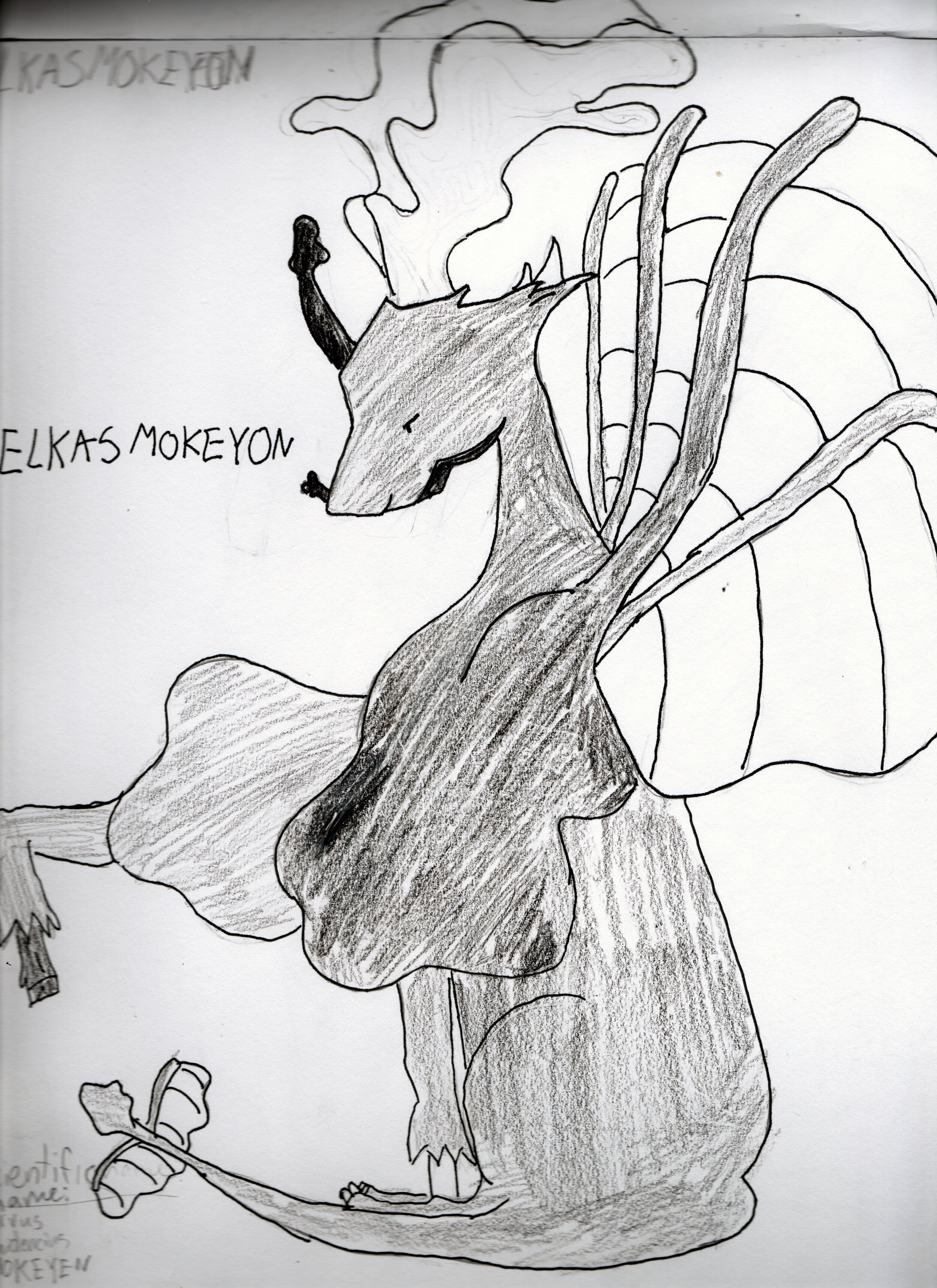Elkasmokeyon
