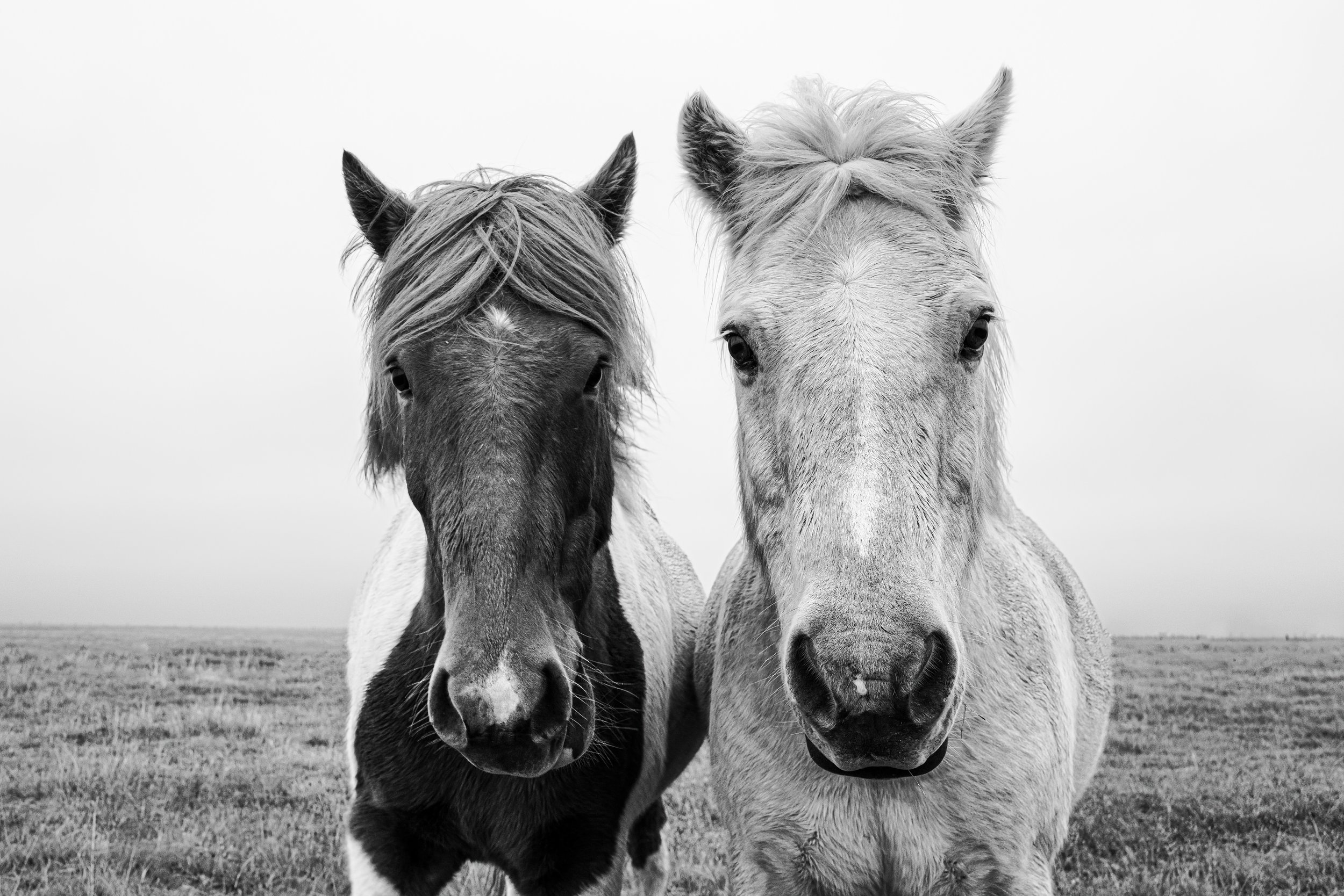 Elisa Benedetti - 2.jpeg