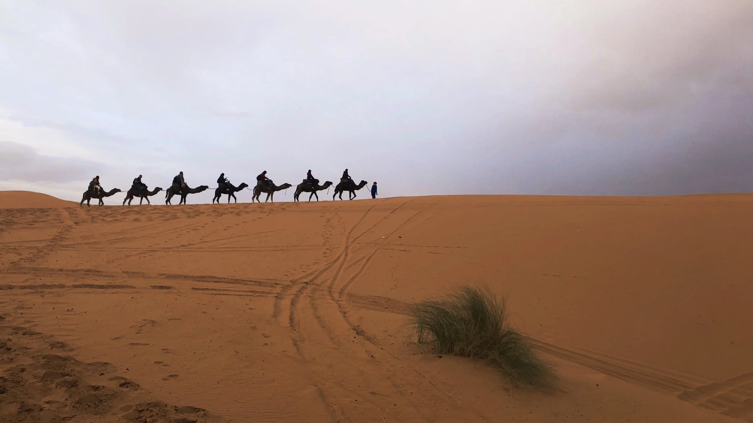 Open-ThomasZeran-SaharaDesert-Morocco2.jpg