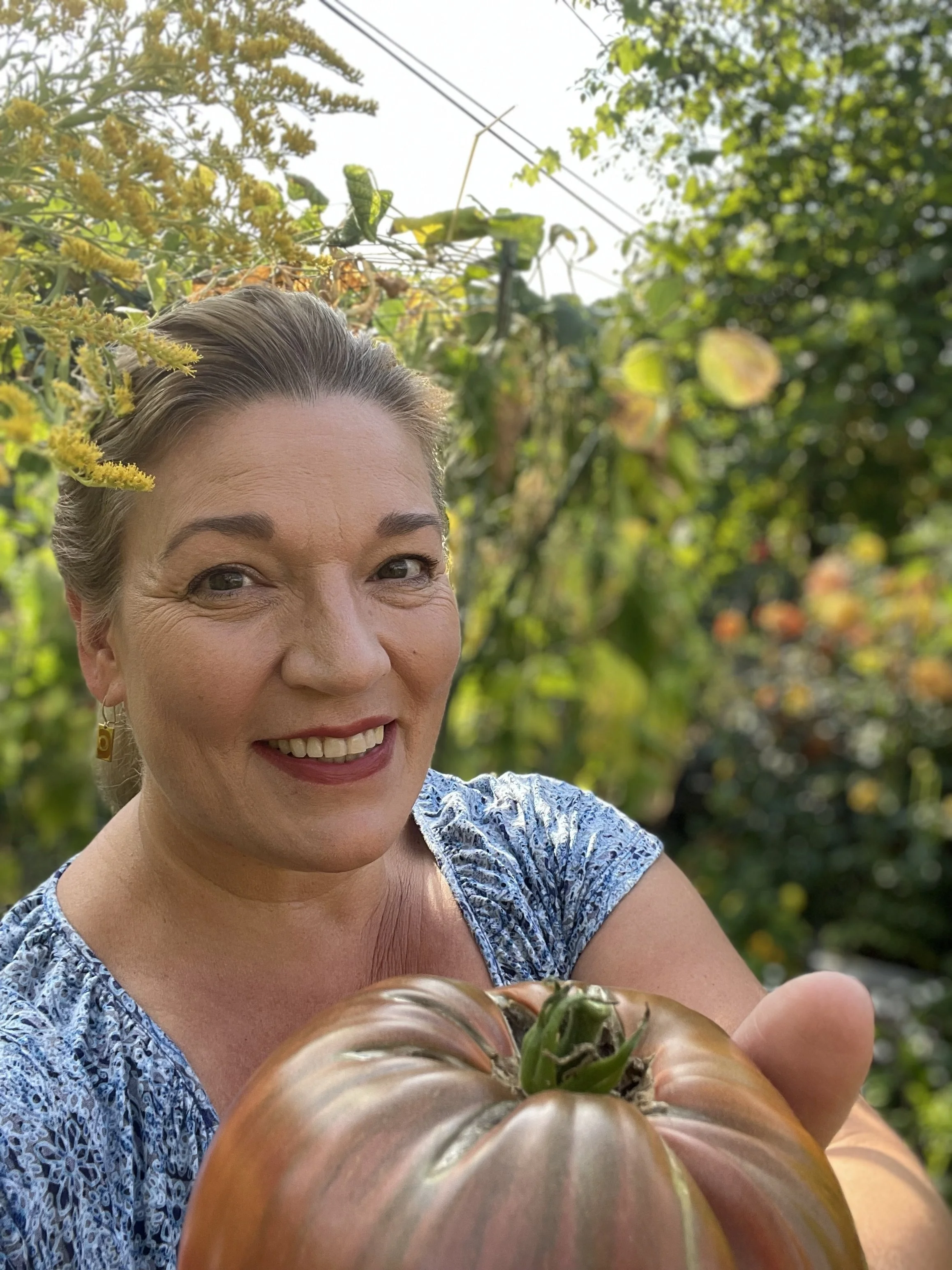 E169: Breeding &amp; Selecting Tomatoes For Northern Climates With Karen Olivier