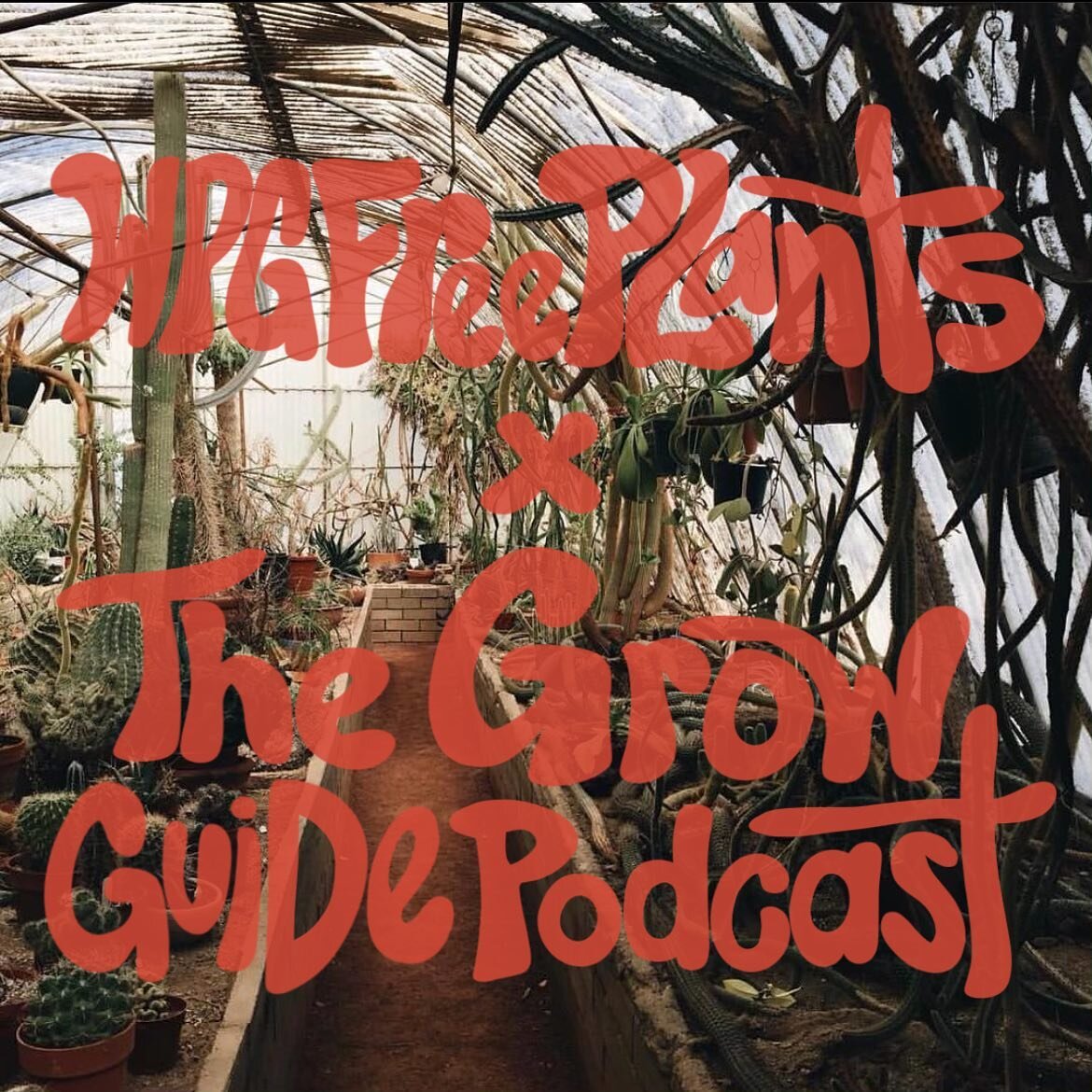 What better way to make people happy than with free plants? 🌿🌿 The wonderful team from @wpgfreeplants made their way onto this week&rsquo;s episode of The Grow Guide for a great chat about the grass roots initiative they&rsquo;ve created and the co