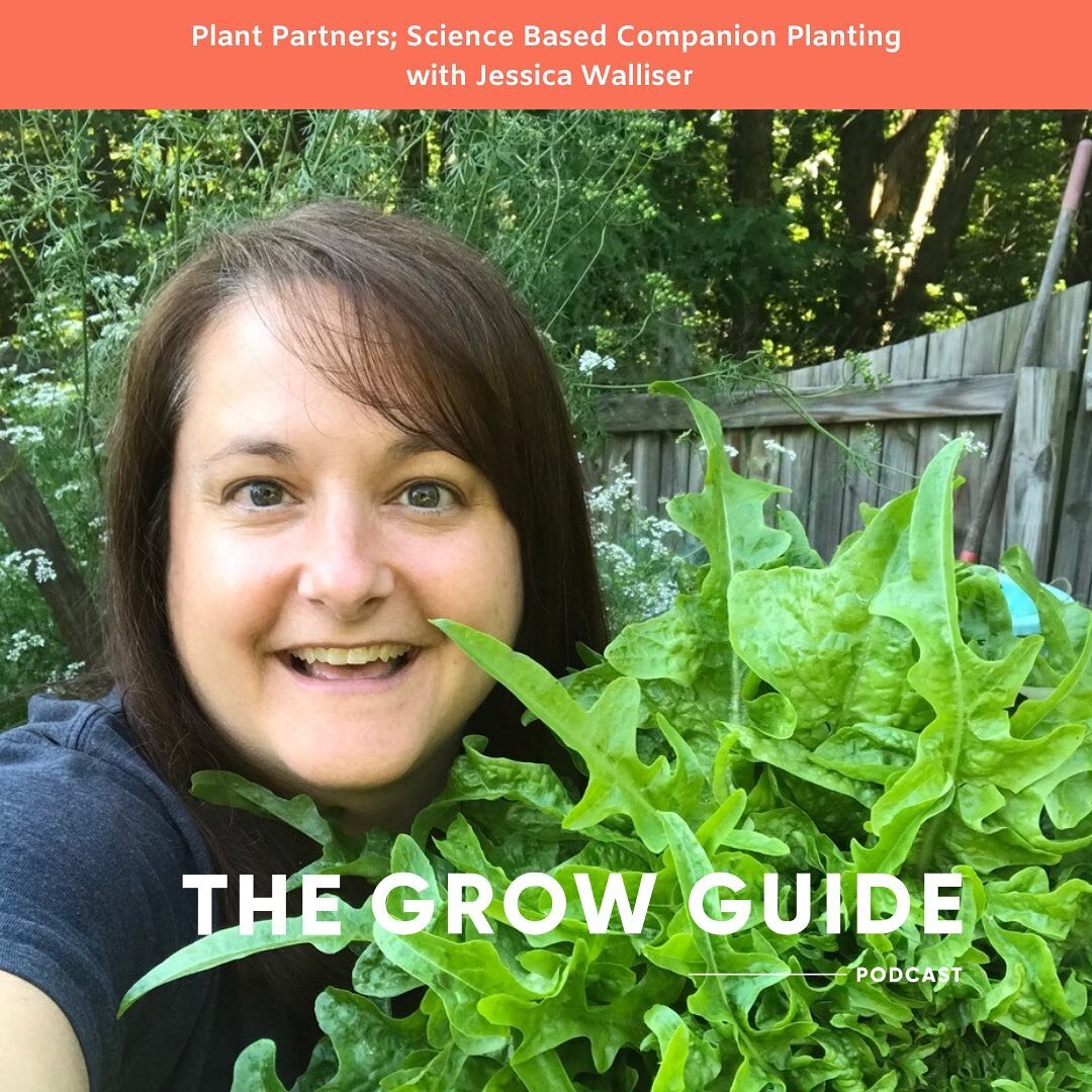 Joining the pod in our newest episode is Jessica Walliser @jessicawalliser - American, author, horticulturalist, and co-creator of @savvygardening 🌿🌿 Jessica&rsquo;s new book combines science and practical advice to help you understand why companio