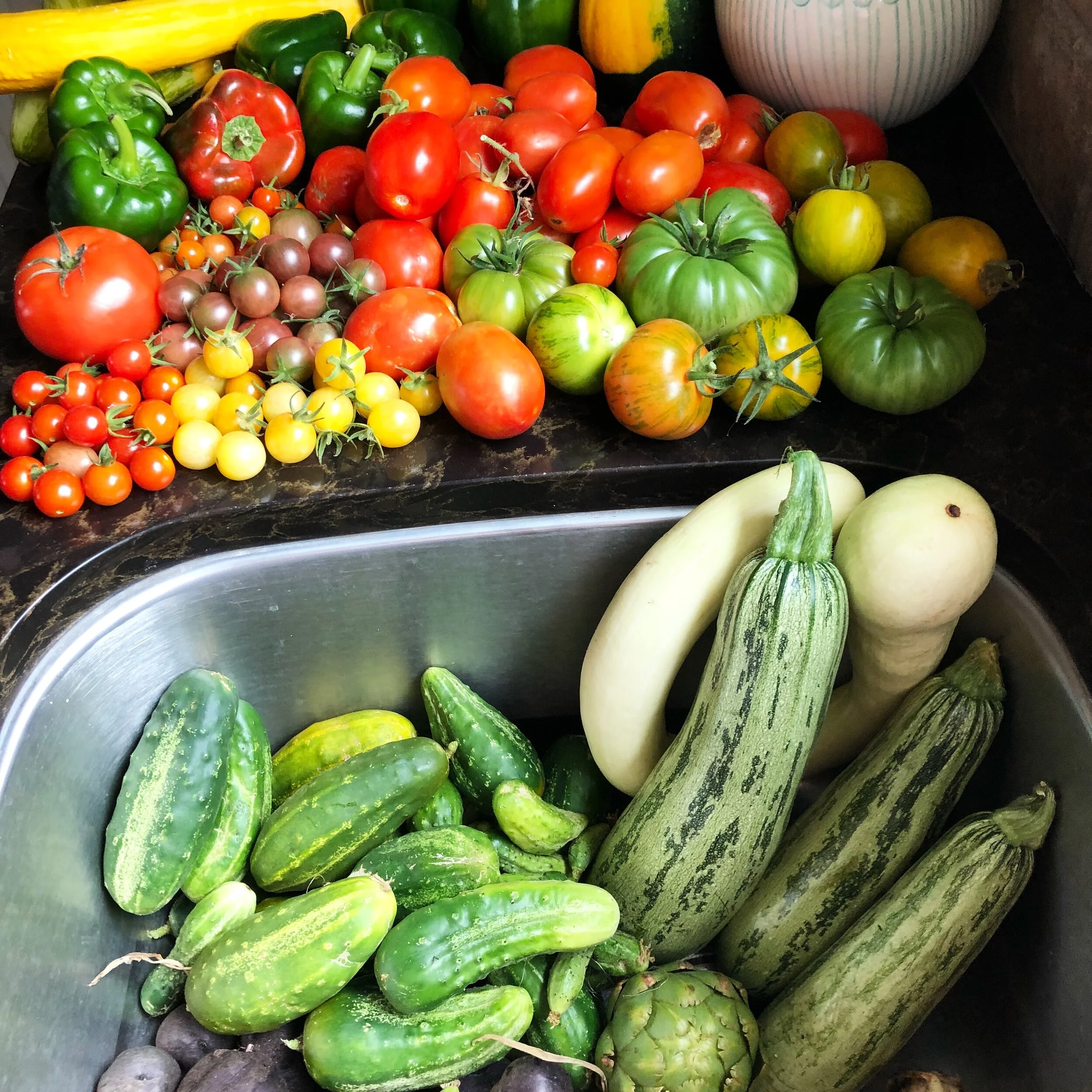 E112: Reflecting on the 2021 Garden + Garden Tasks for August  + Planting For Fall Harvests!