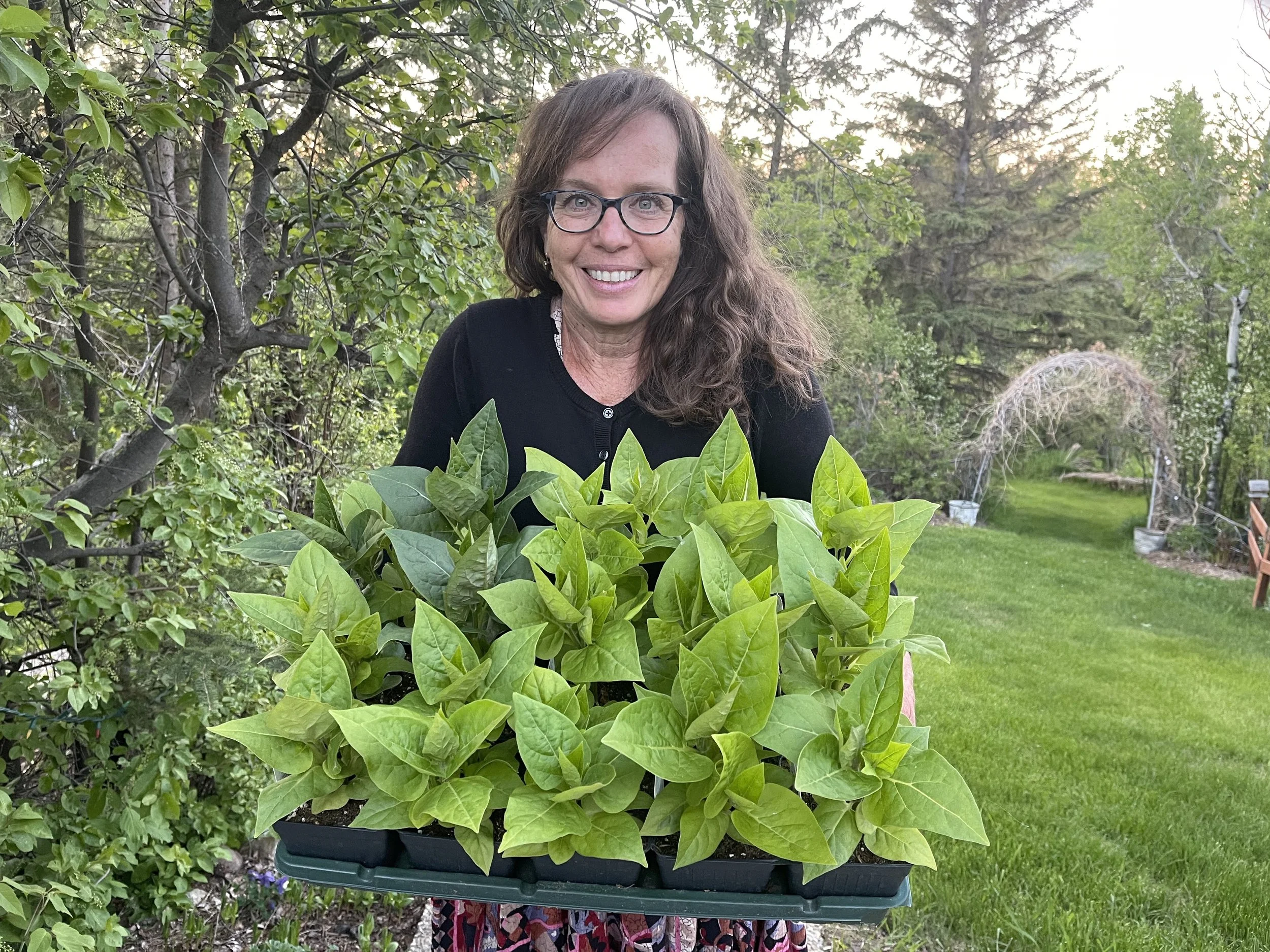 E154: Planning Your Best Garden Yet with Sharon Murphy