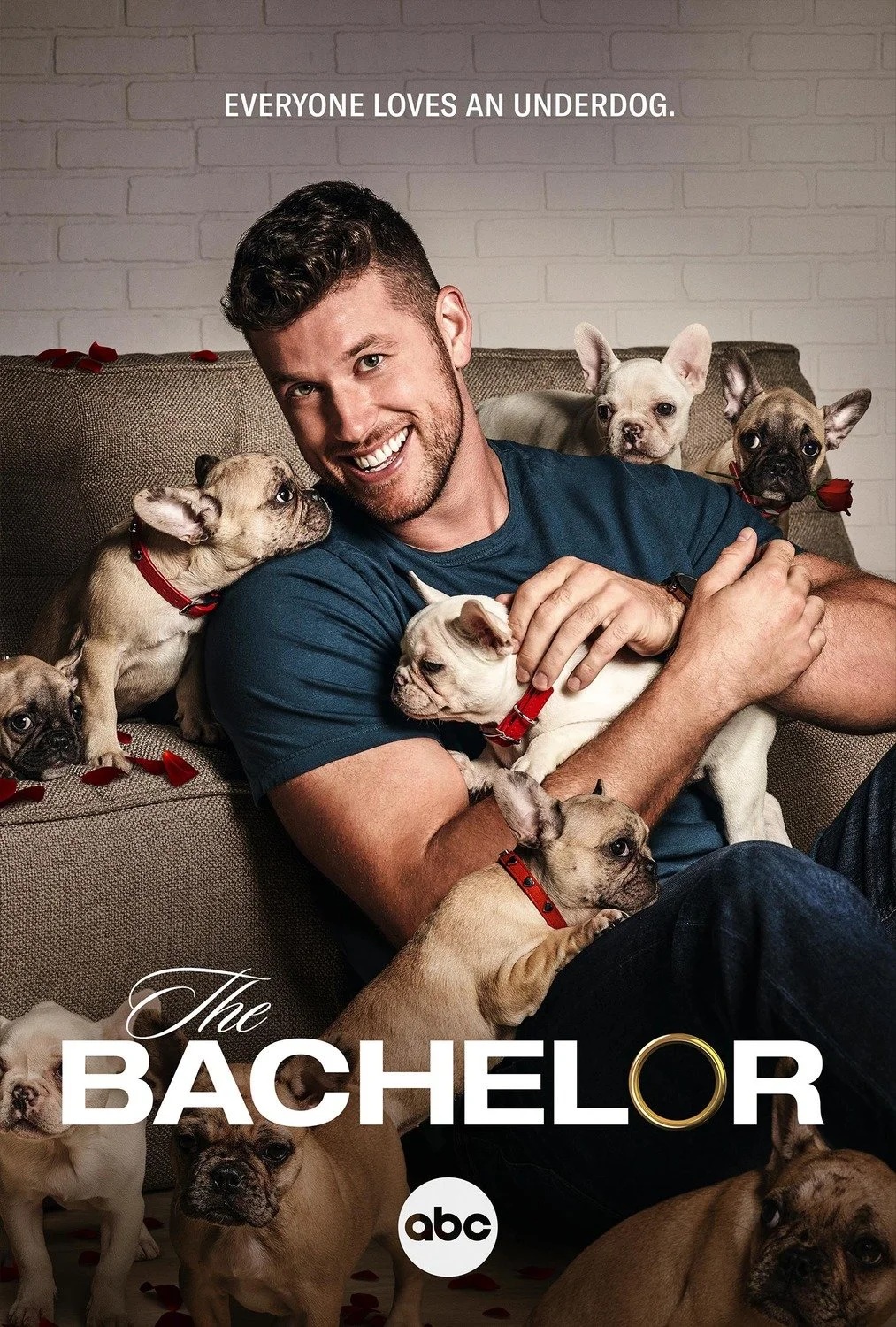 bachelor_ver9_xlg.jpg