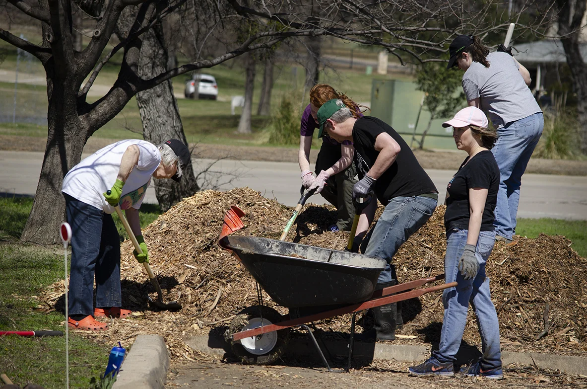 Volunteers move donated mulch to the garden beds.