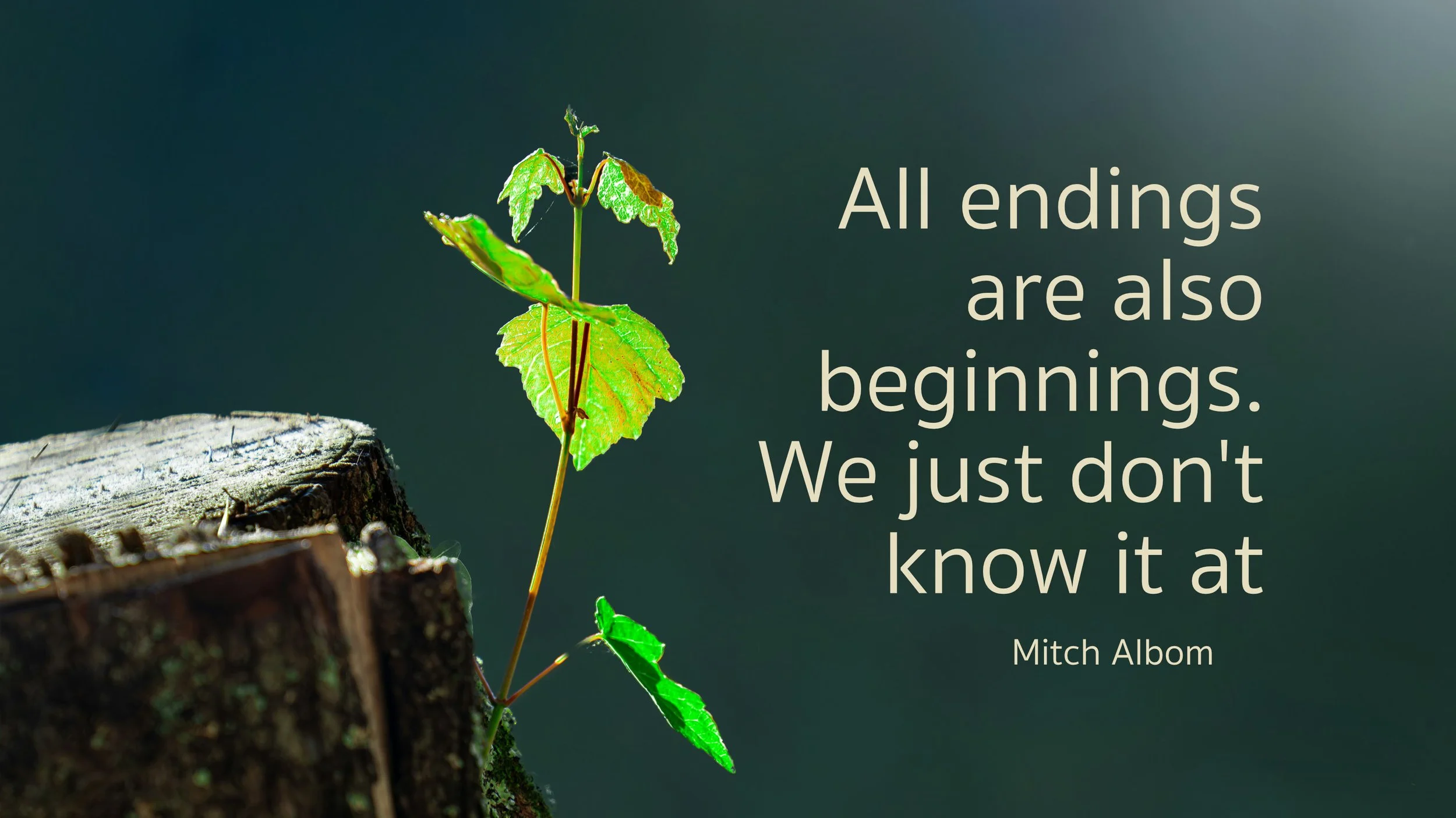 sm_2026-09-18 fb_endings as beginnings.jpg