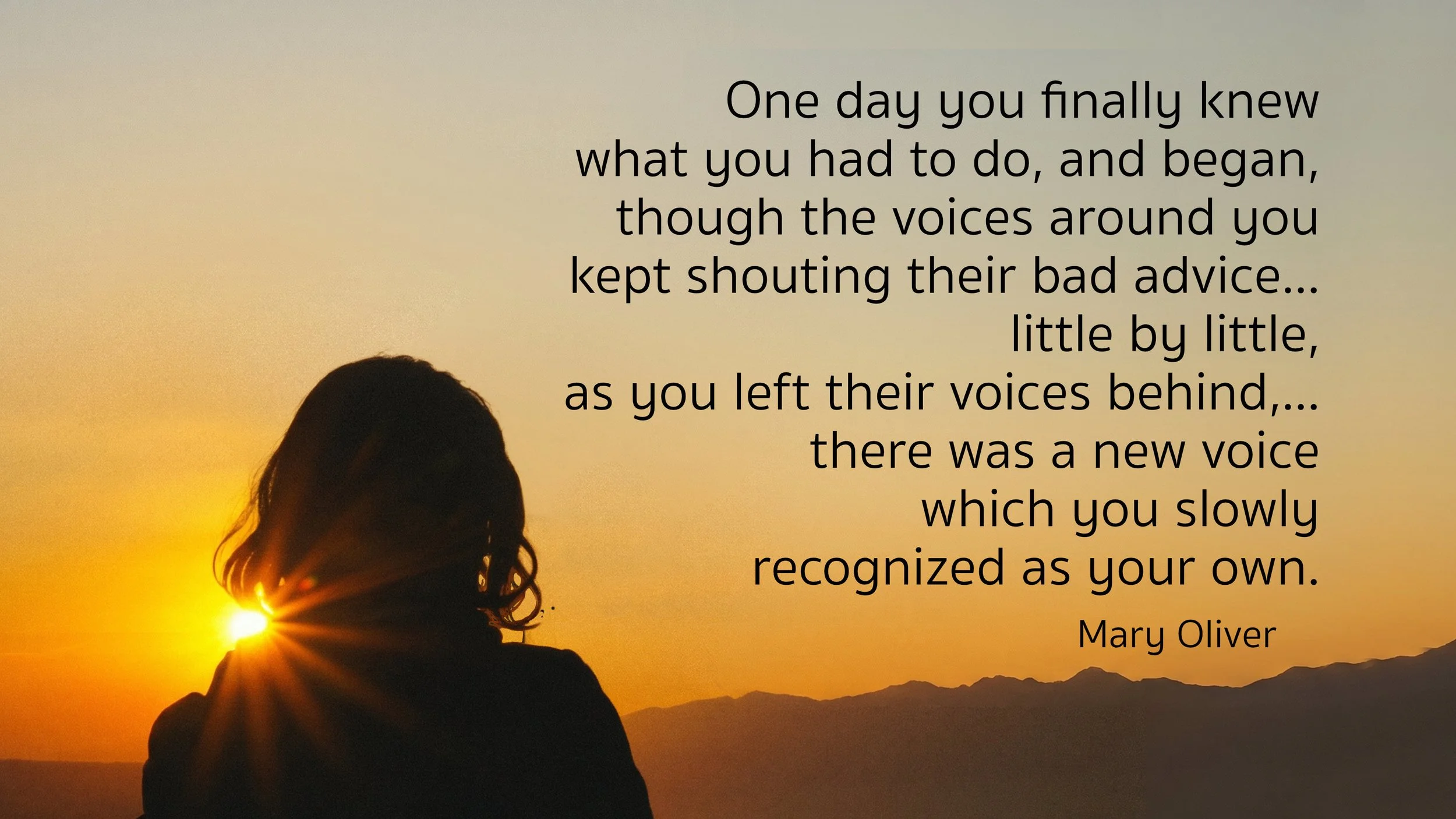 sm_2026-09-02_fb_a new voice.jpg