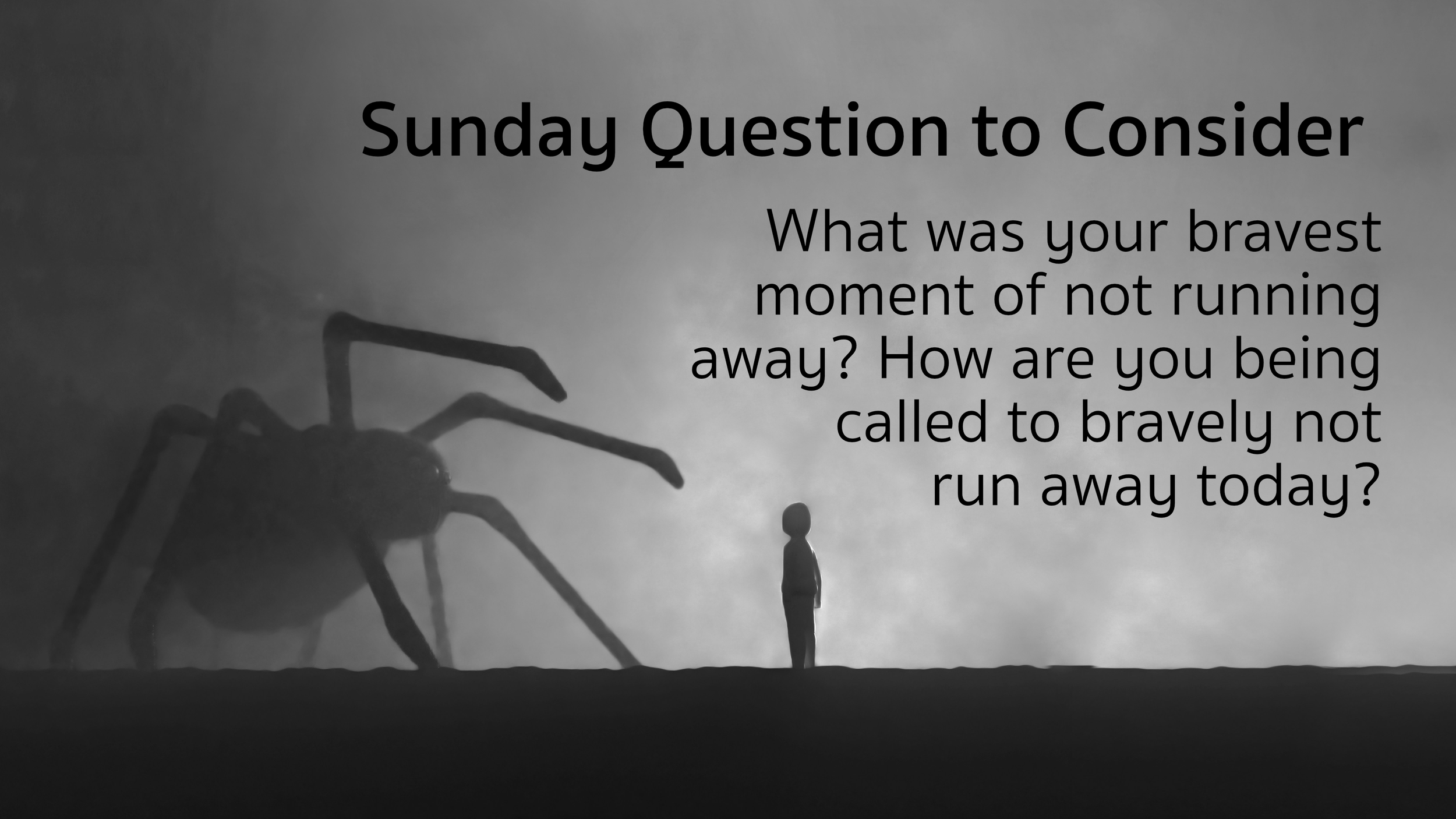 sm_2026-10-17_fb_not run away.png