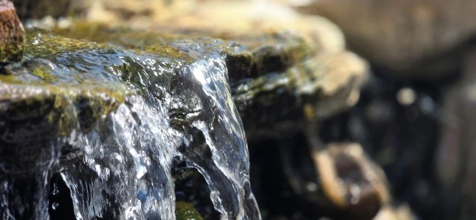 Water burbles over mossy rock in a mini waterfall. Sunlight dances on the water.